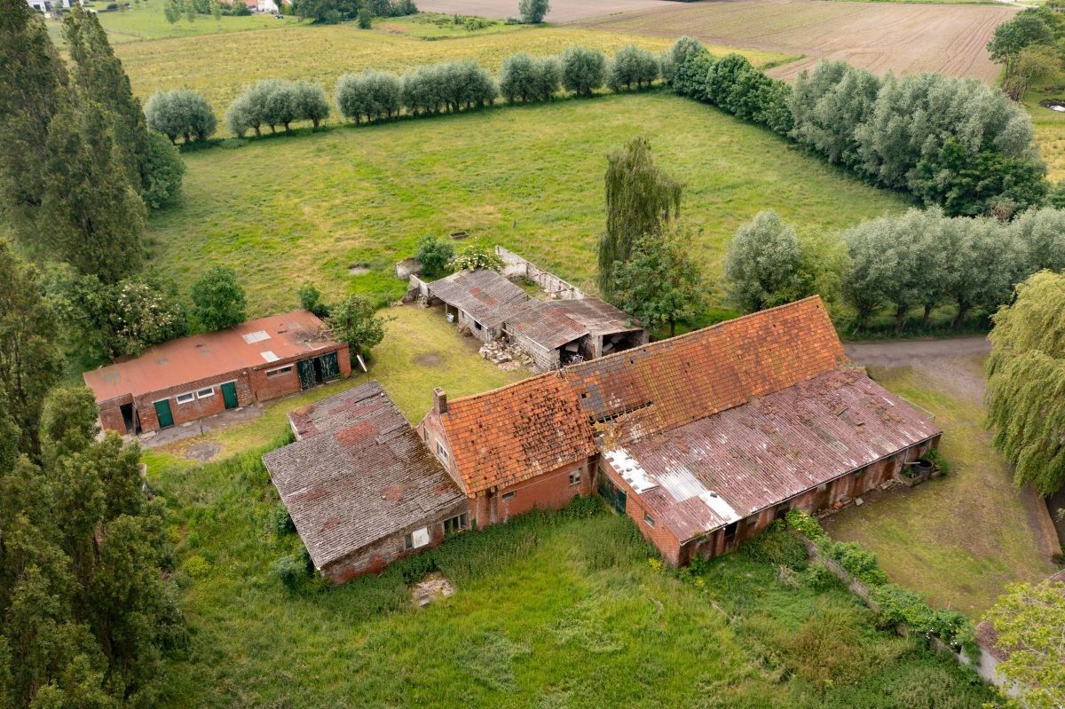 Afzonderlijk gelegen hoeve te koop op 3,66 ha te Zedelgem - Veldegem foto 17