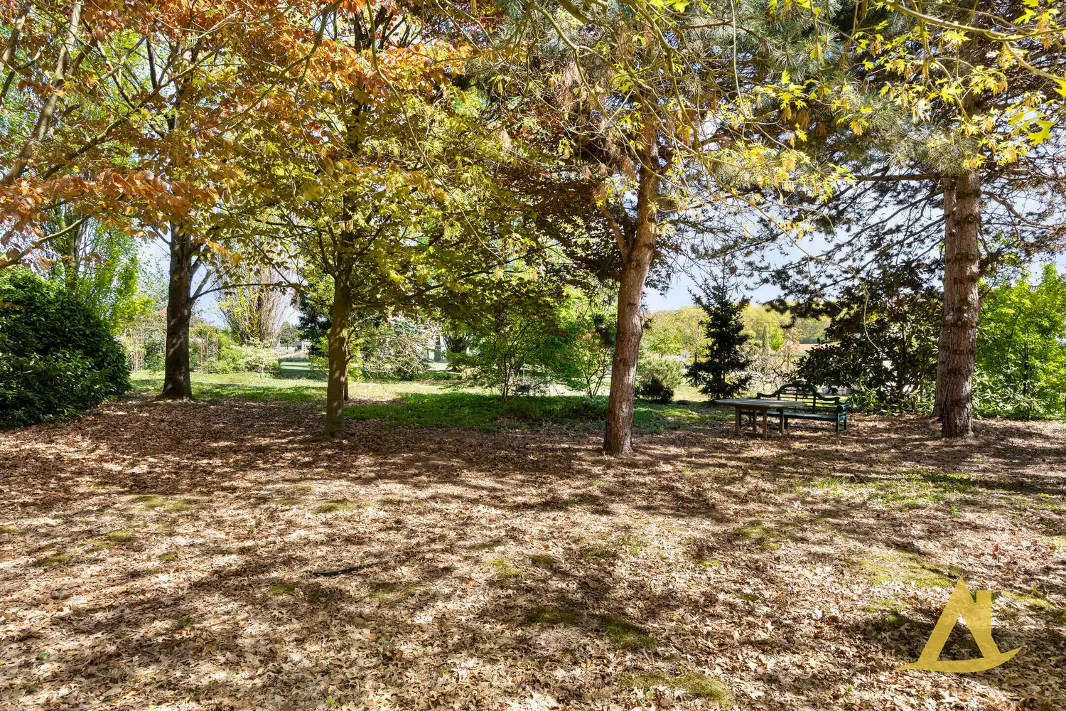 EXCLUSIEVE VILLA MET PARKTUIN EN ZWEMVIJVER OP EEN PERCEEL VAN 1HA 5A 16CA! foto 72