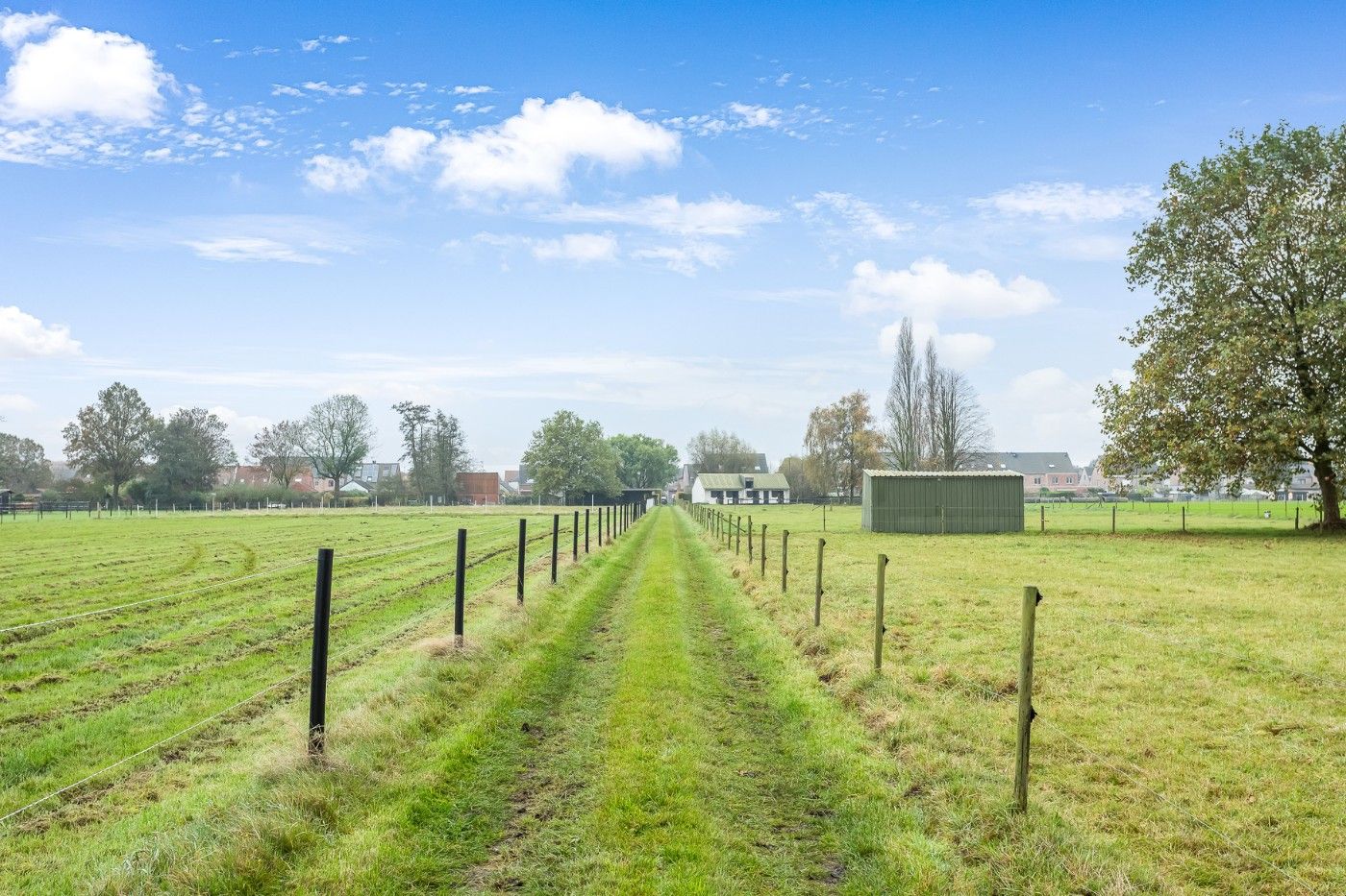 Mooi stuk weiland van 7490m² met schuilhok te koop in Hoevenen foto 6