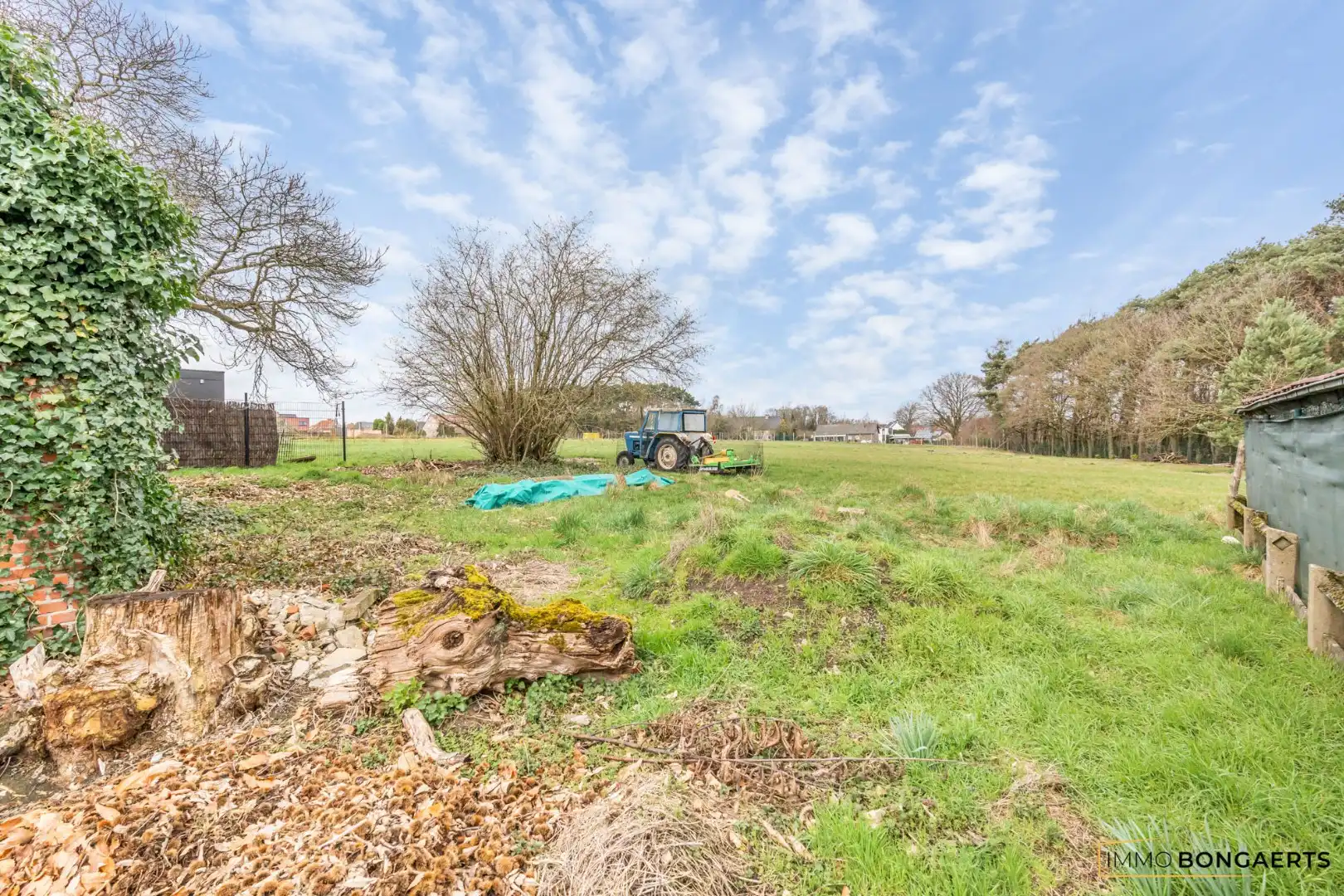 Ruime woning op rustige ligging in Opglabbeek  foto 20