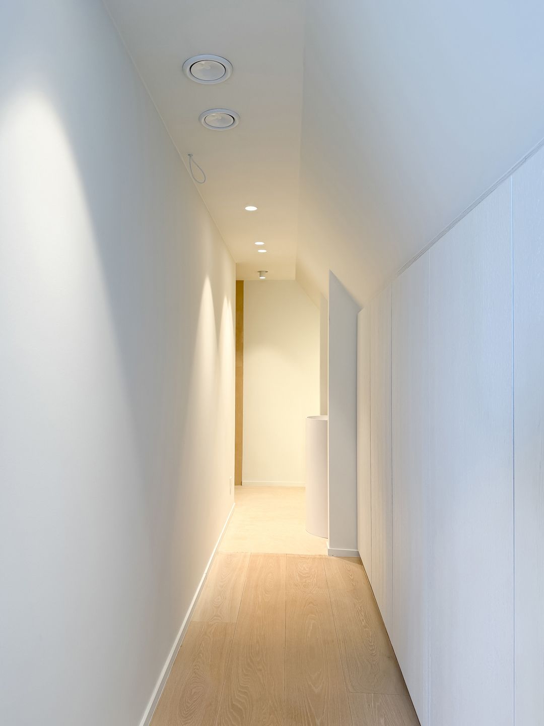 Nieuwbouwvilla - panoramisch zicht over de polders! foto 24