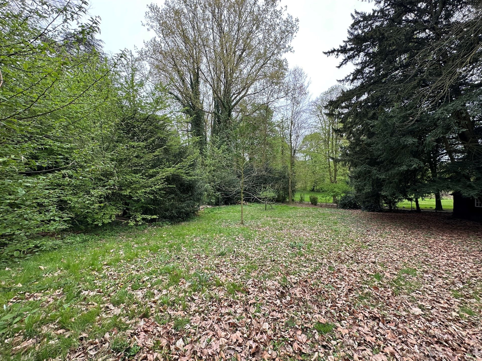 Karaktervolle villa op royaal perceel te Wortegem-Petegem foto 6