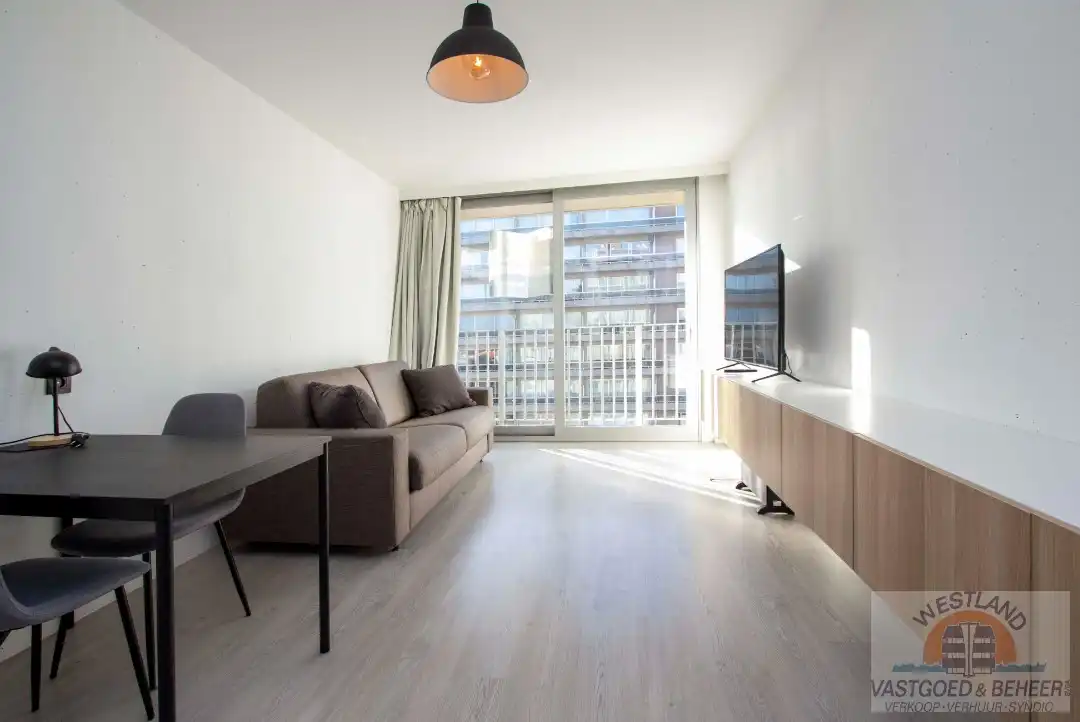 Studio foto {{pictureIndex}}