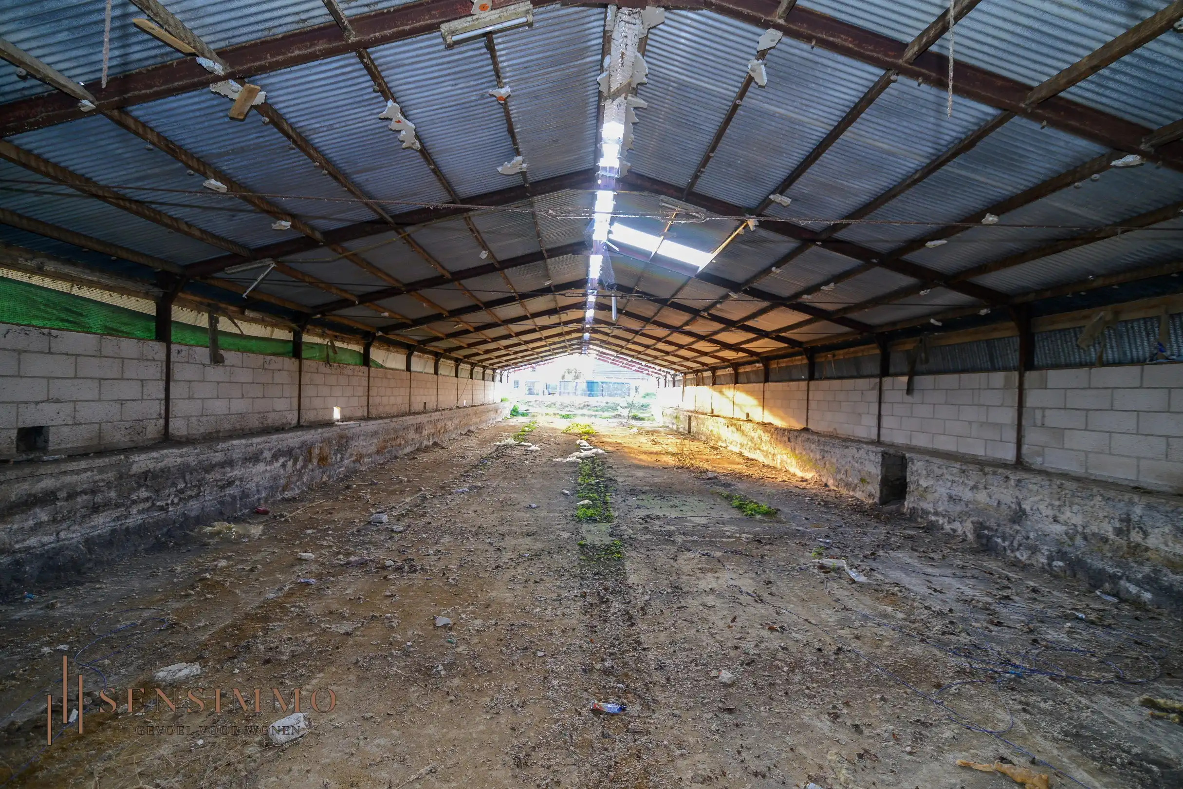 Interessante investeringsopportuniteit: te renoveren loods op strategische ligging foto 7