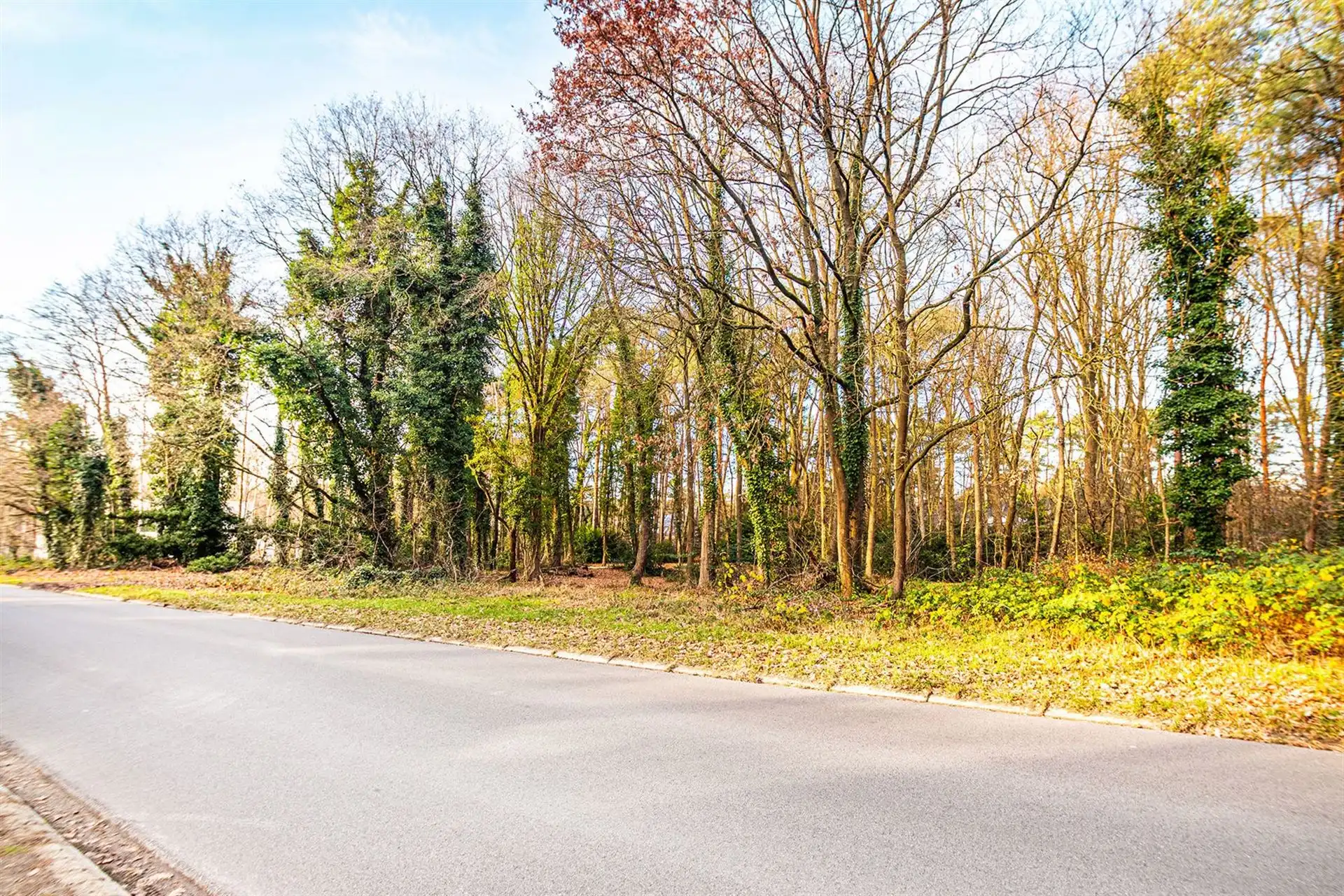 Exclusieve bouwgrond van 4.370 m² in “Golf & Meer”-domein foto 5
