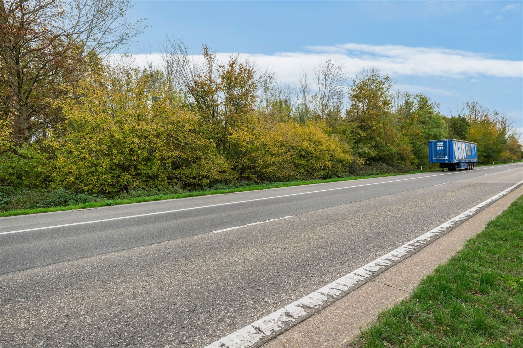 Prachtig perceel met bomen te Mechelen foto 7