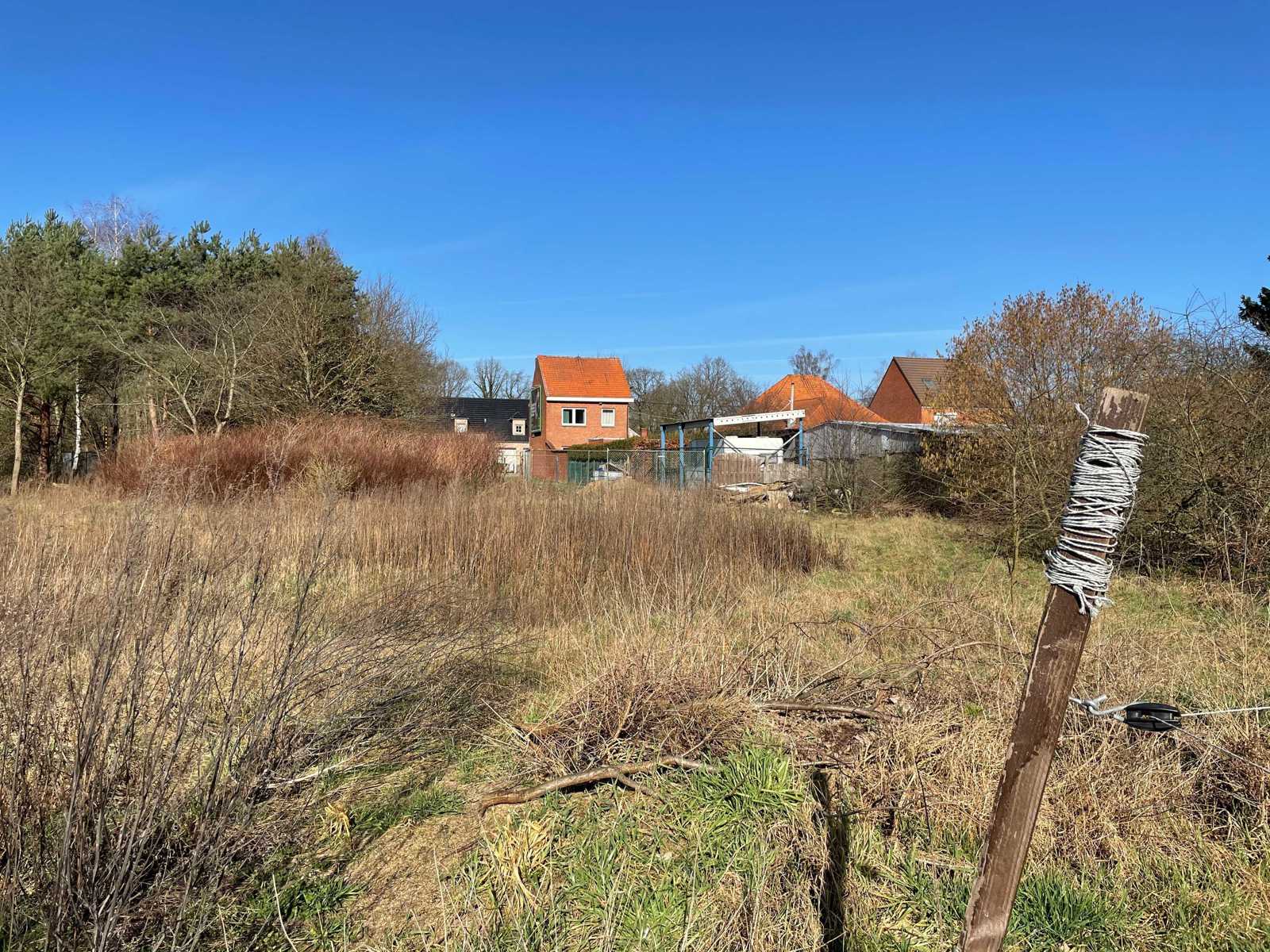 (PAARDEN) WEIDE VAN 25A91CA TE HEUSDEN-ZOLDER foto 4