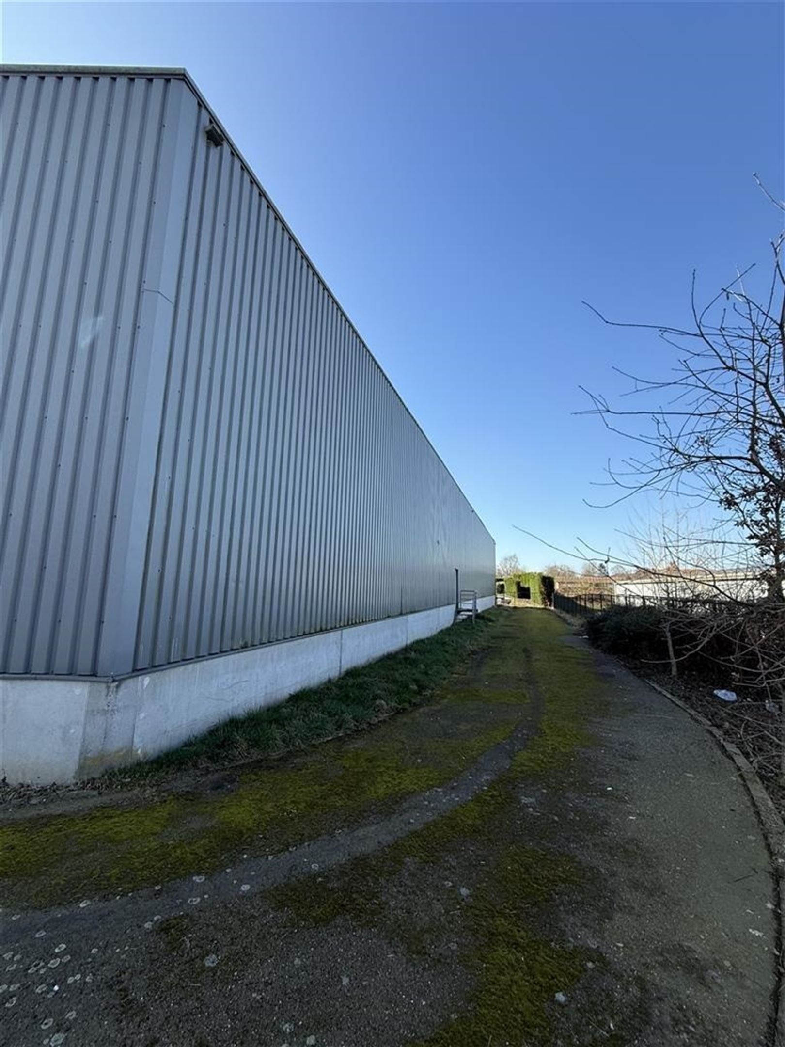 Polyvalent bedrijfsgebouw foto 5