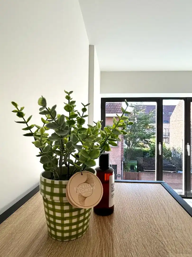 Prachtig gerenoveerd appartement met 2 slaapkamers foto 13