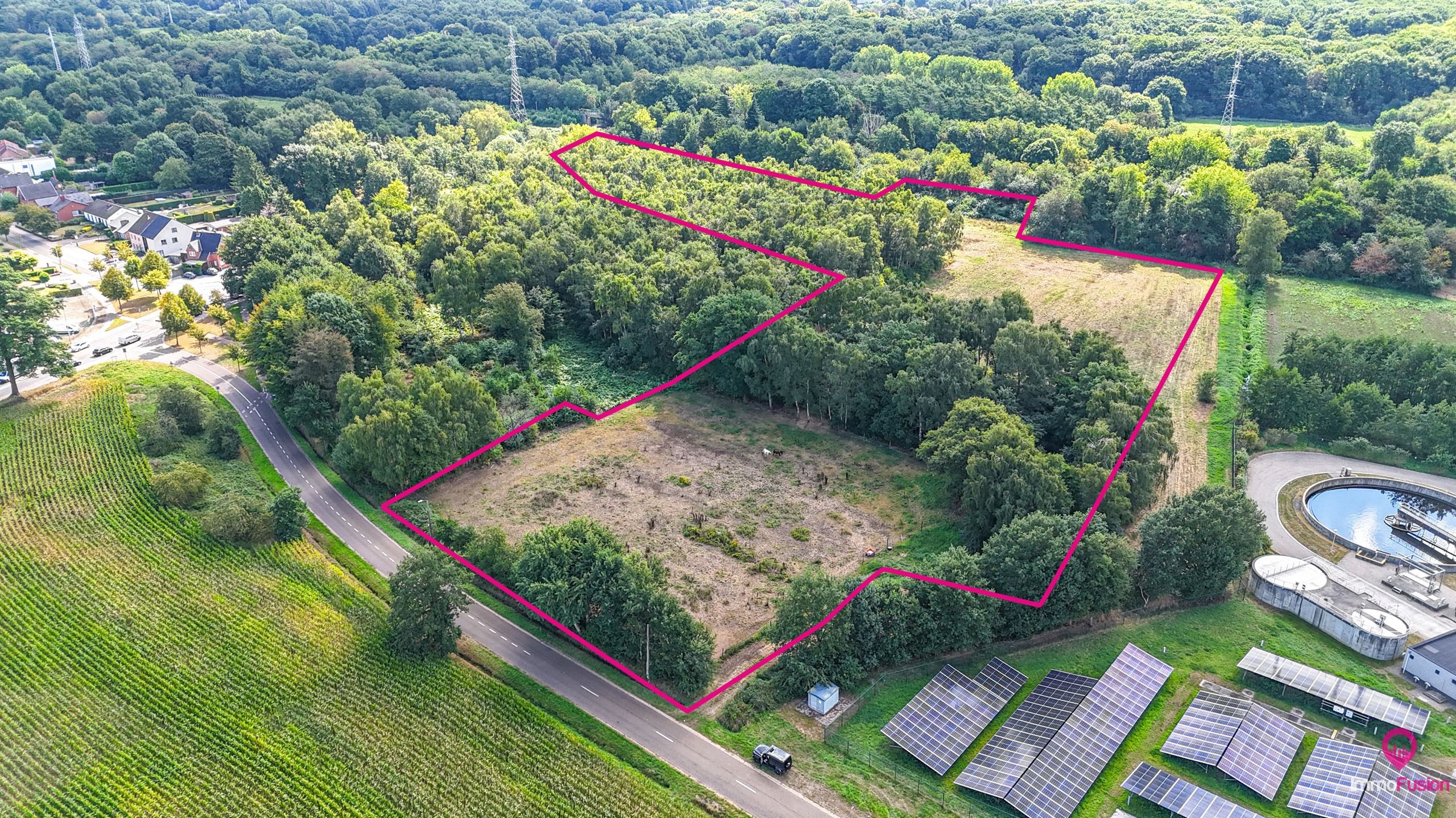 Uitgestrekt perceel van 3 hectare landbouw- of paardenweide! foto 2