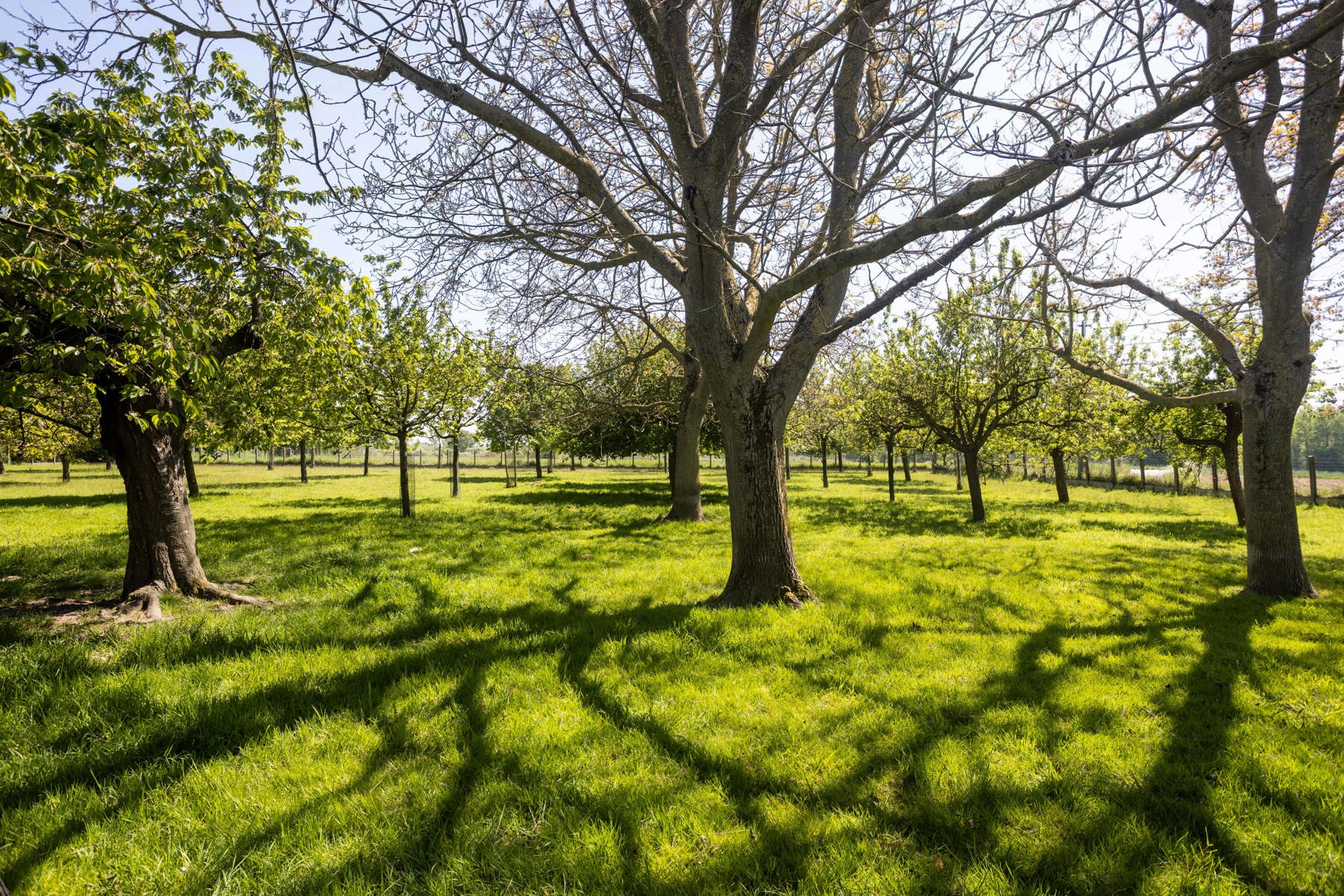 Karaktervolle villa met prachtig uitzicht op een toplocatie foto 3