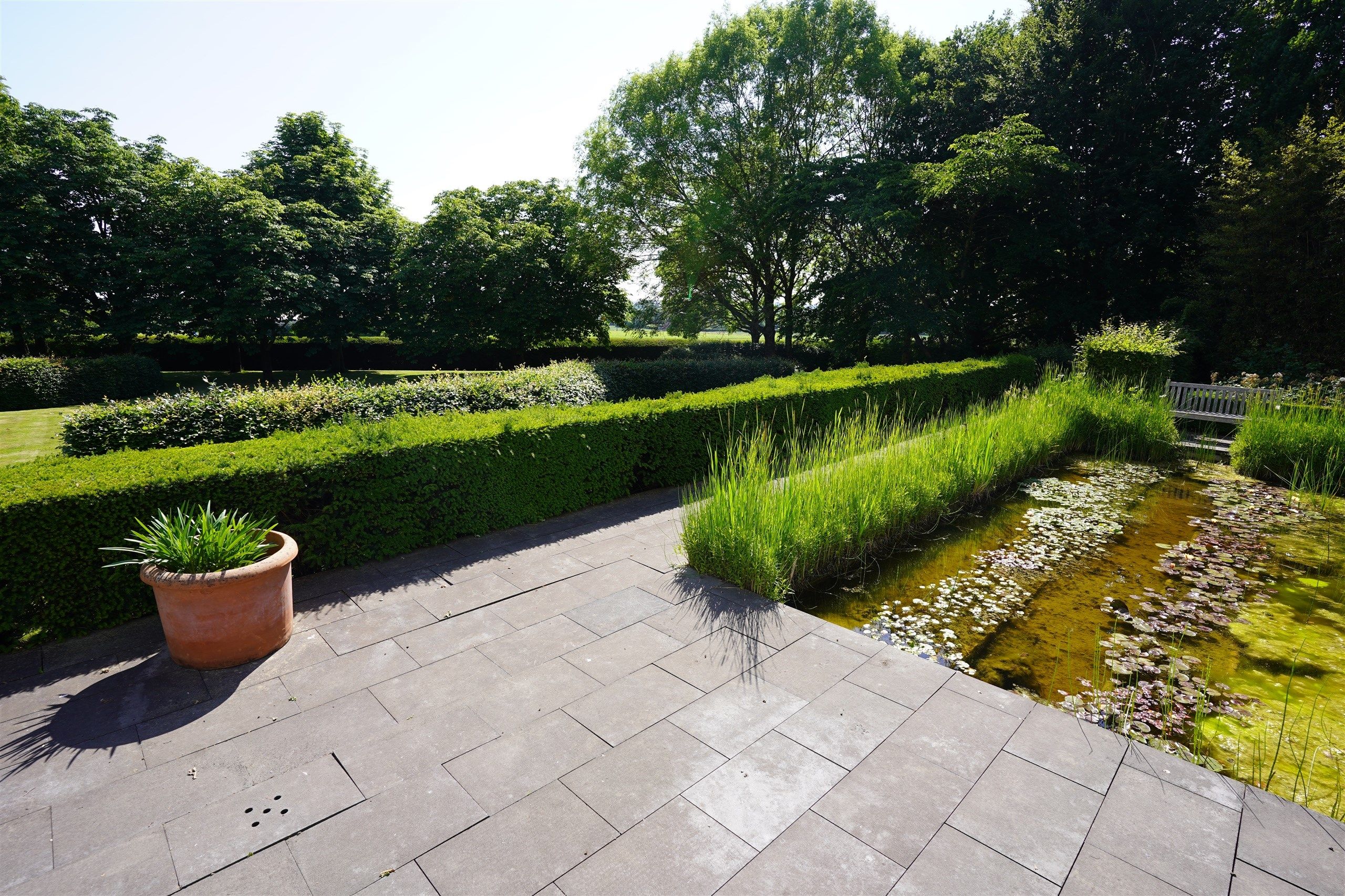 Bellegem bos: uitzonderlijk, waardevol landgoed! foto 4