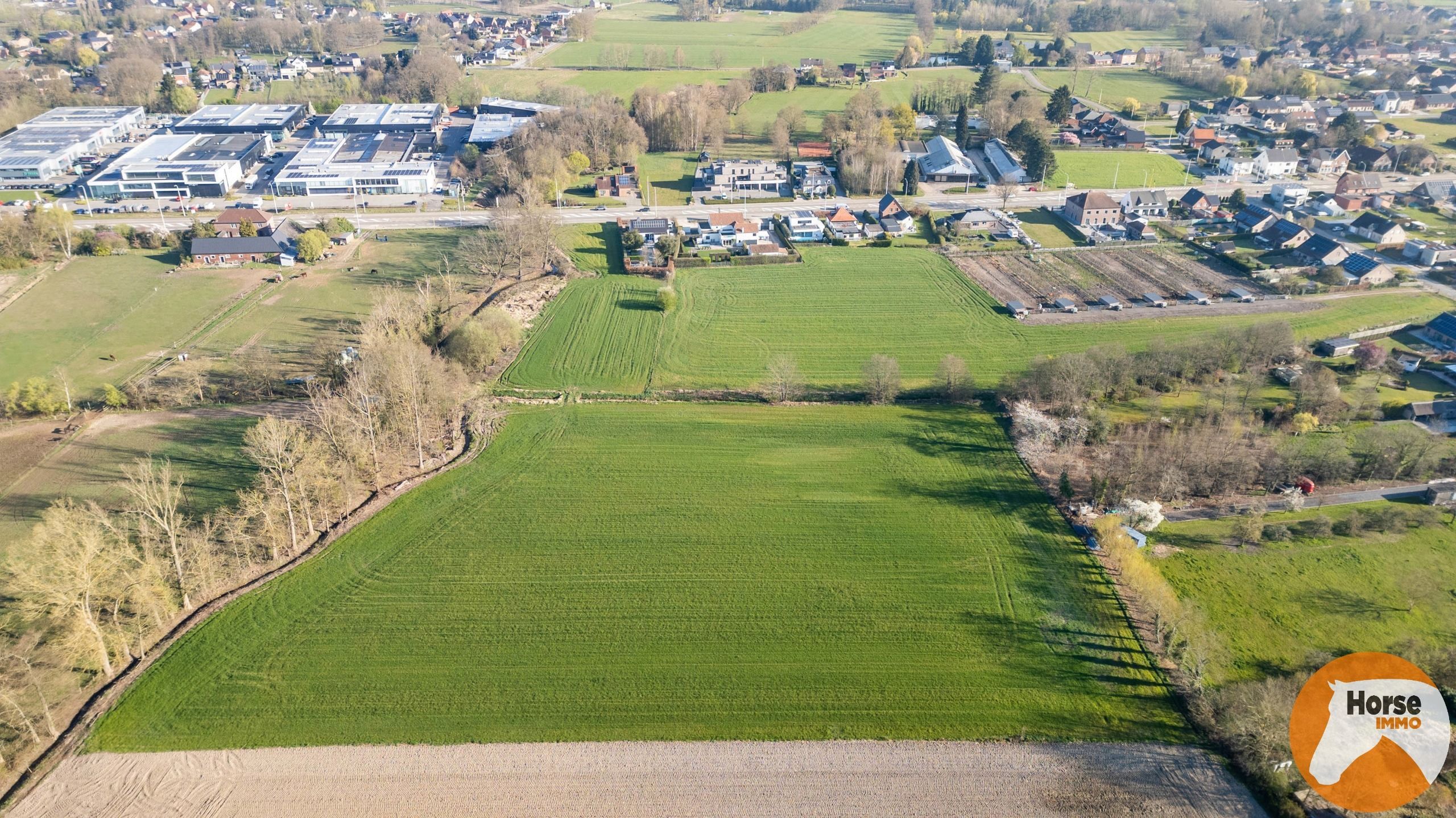 HASSELT-Mooi perceel bouwgrond voor open bebouwing en weide foto 5