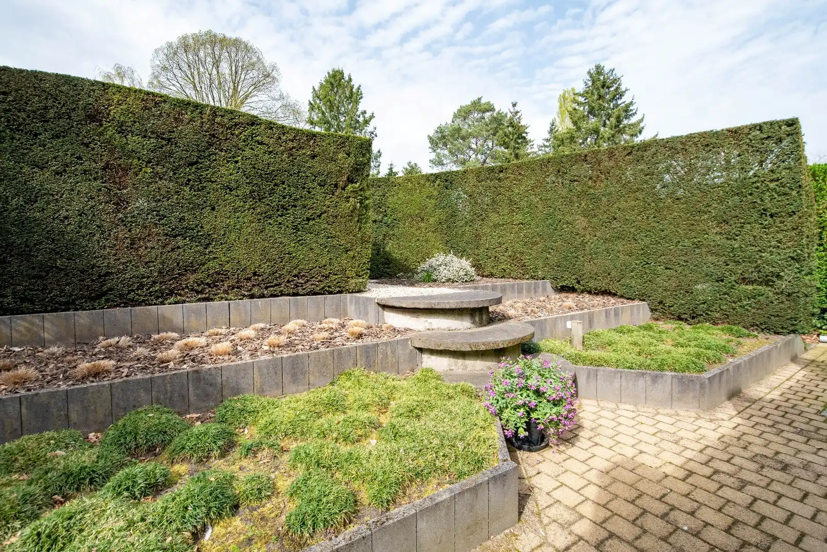 Veelzijdig Commercieel Gelijkvloers in de Dorpskern van Zandhoven foto 14