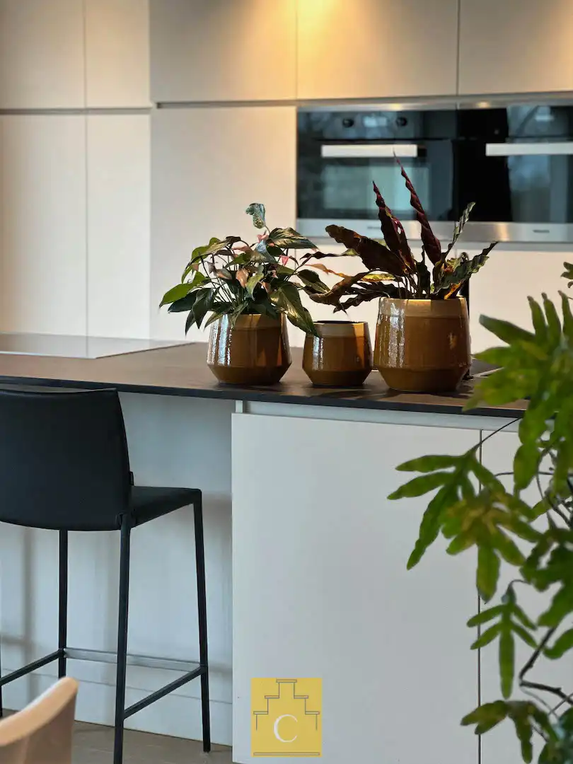 knappe penthouse met zicht op 't Stil Ende en het Graaf Visartpark foto 5