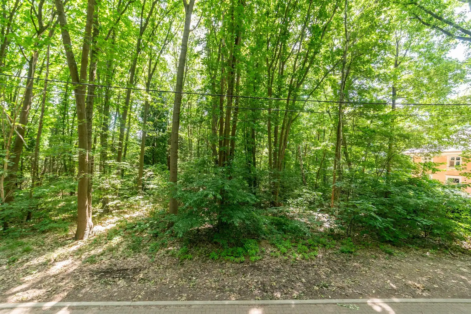 Rustig gelegen bouwgrond van 21a42ca voor een open bebouwing te Rotselaar (Heikantberg) foto 2