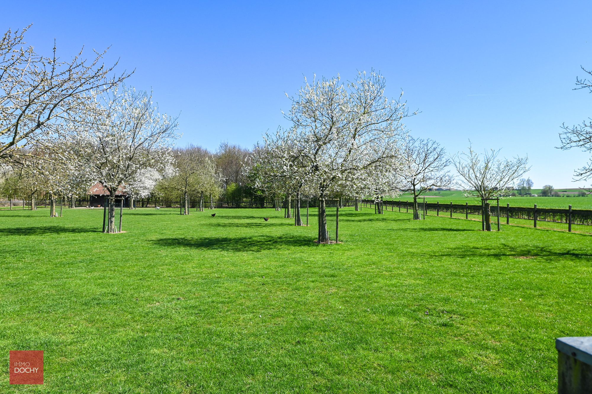 Landelijk en rustig gelegen hoeve met vakantiewoning foto 13