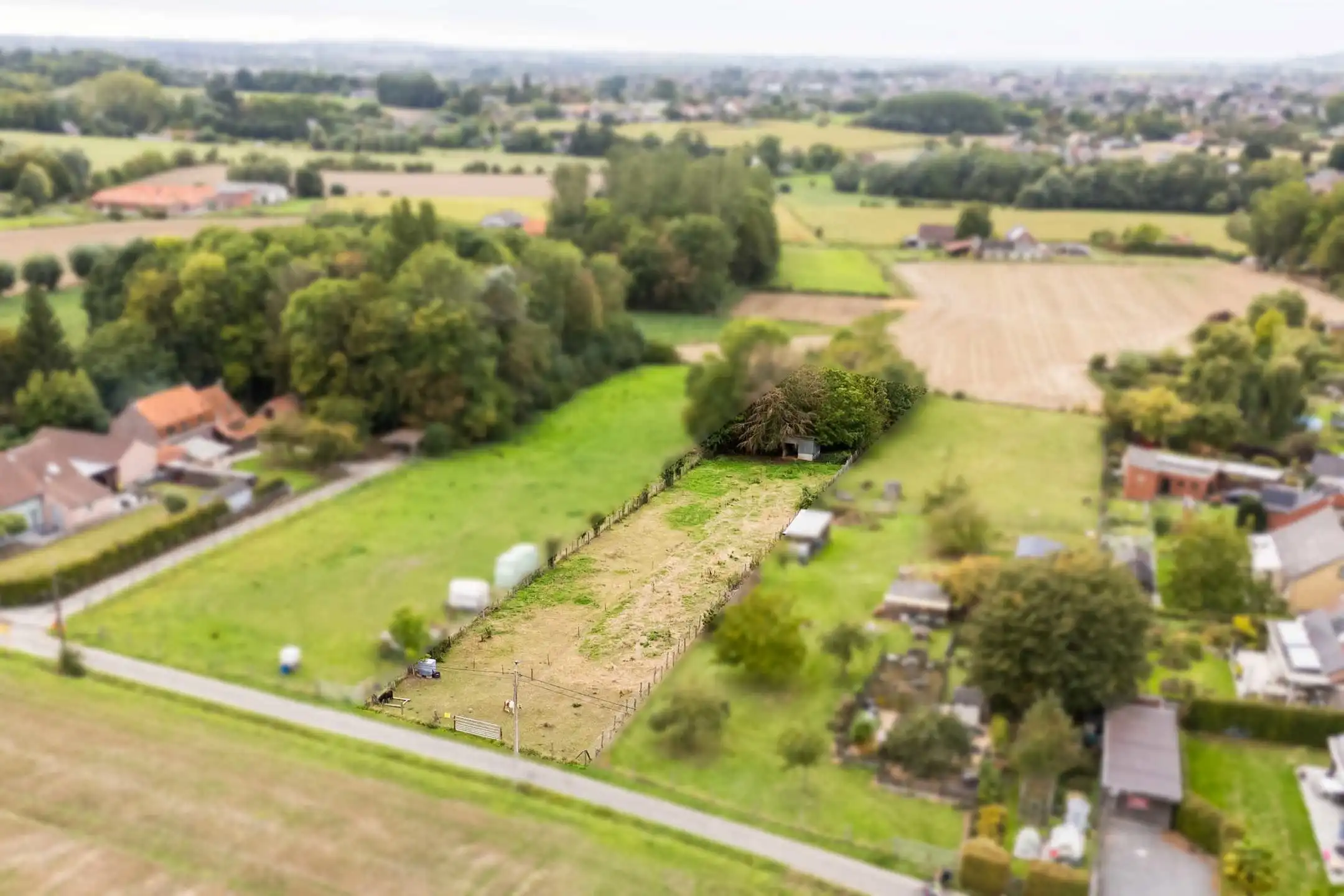 Grond te koop Bossenberg - 9600 Ronse