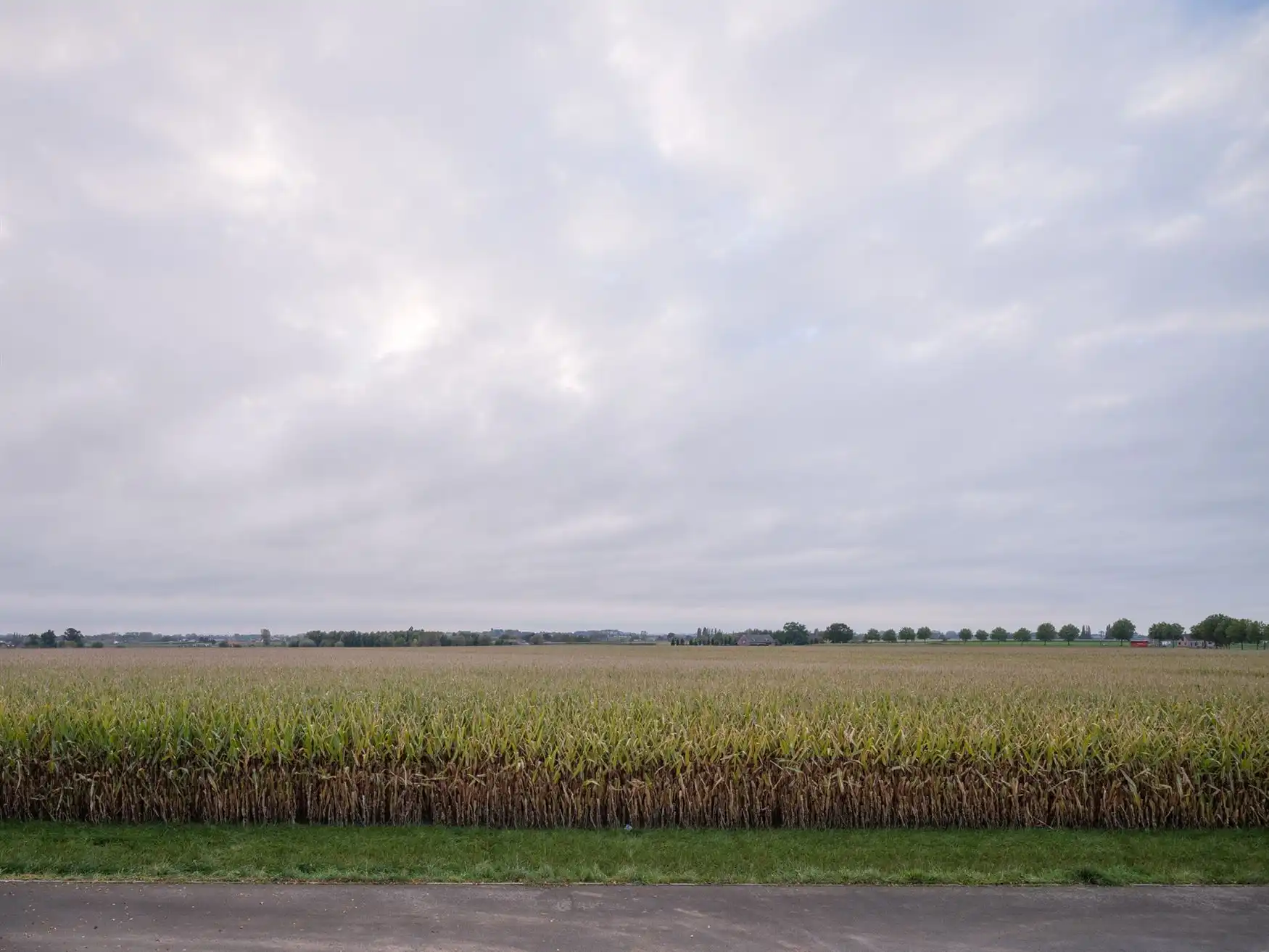 Stijlvolle & lichtrijke woning met schitterende zichten foto 12