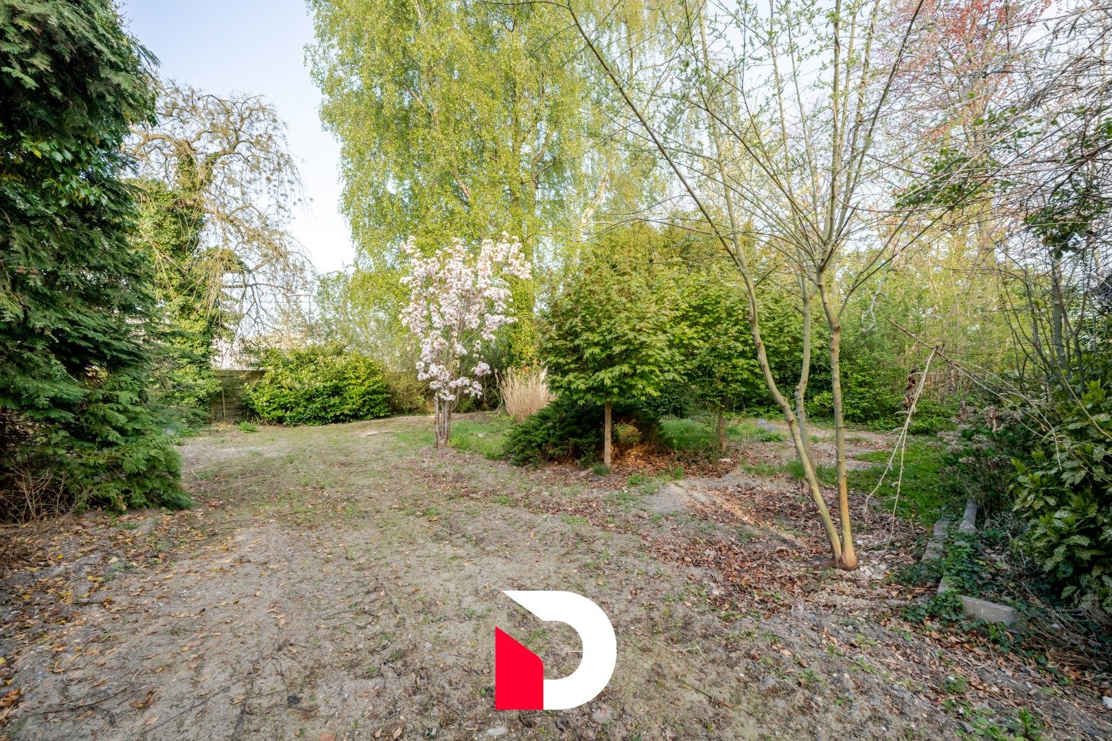 Uiterst charmante en te renoveren woning met weiland aan Merkenveld bos te Zedelgem  foto 7