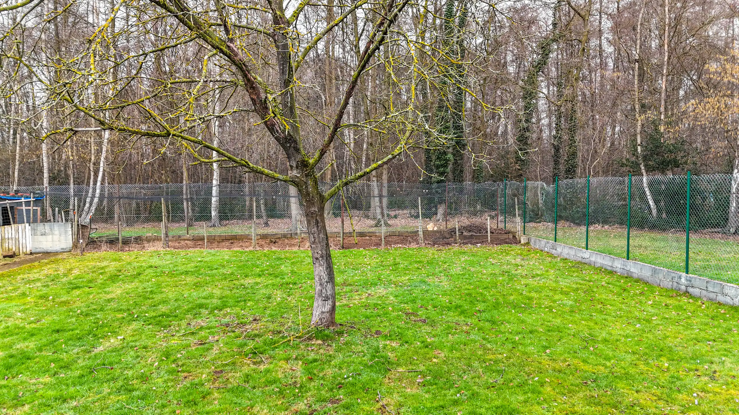 Instapklare halfopen bebouwing op topligging dicht aan natuurzone! foto 35