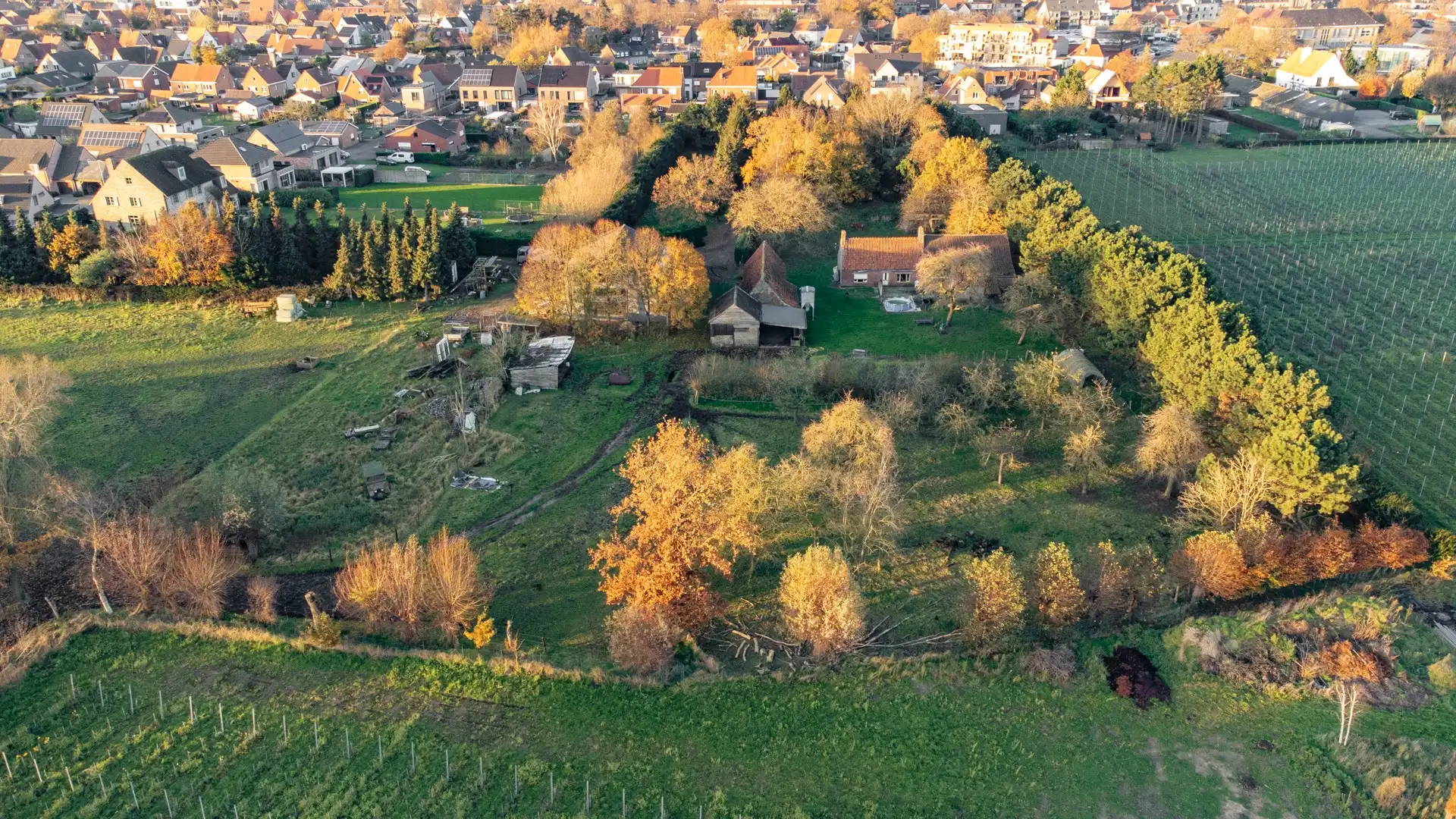 Uitzonderlijk gelegen hoeve op 3,5 ha foto 17