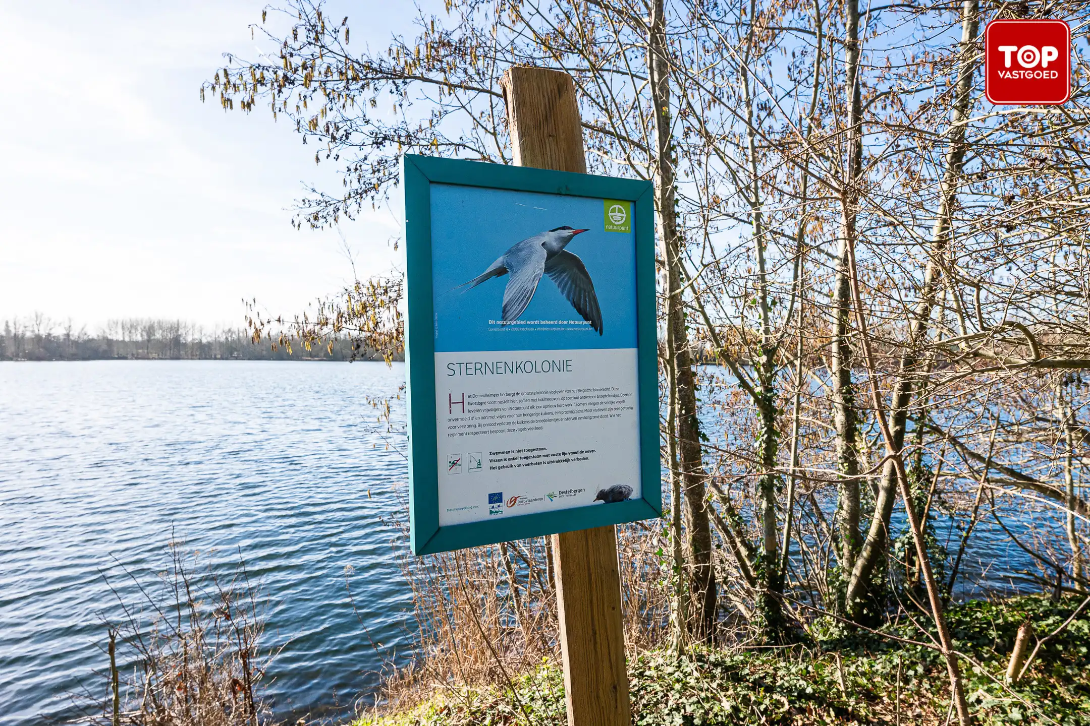 Uniek wonen aan de Damvallei in Destelbergen – Rust, ruimte en natuur aan uw terras. foto 26