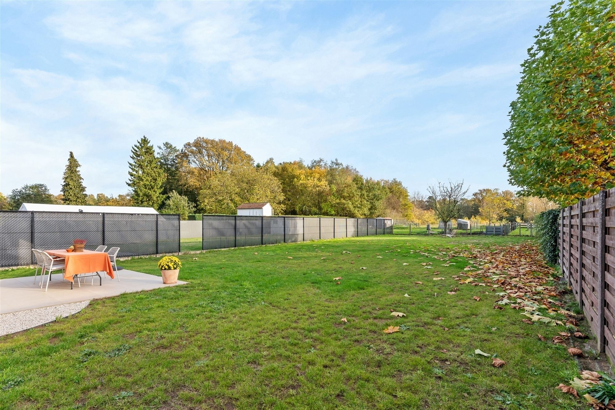 COMPLEET GERENOVEERDE WONING OP PERCEEL VAN BIJNA 8 ARE VLAK BIJ ZOLDER CENTRUM, OMGEVEN DOOR GROEN. foto 32