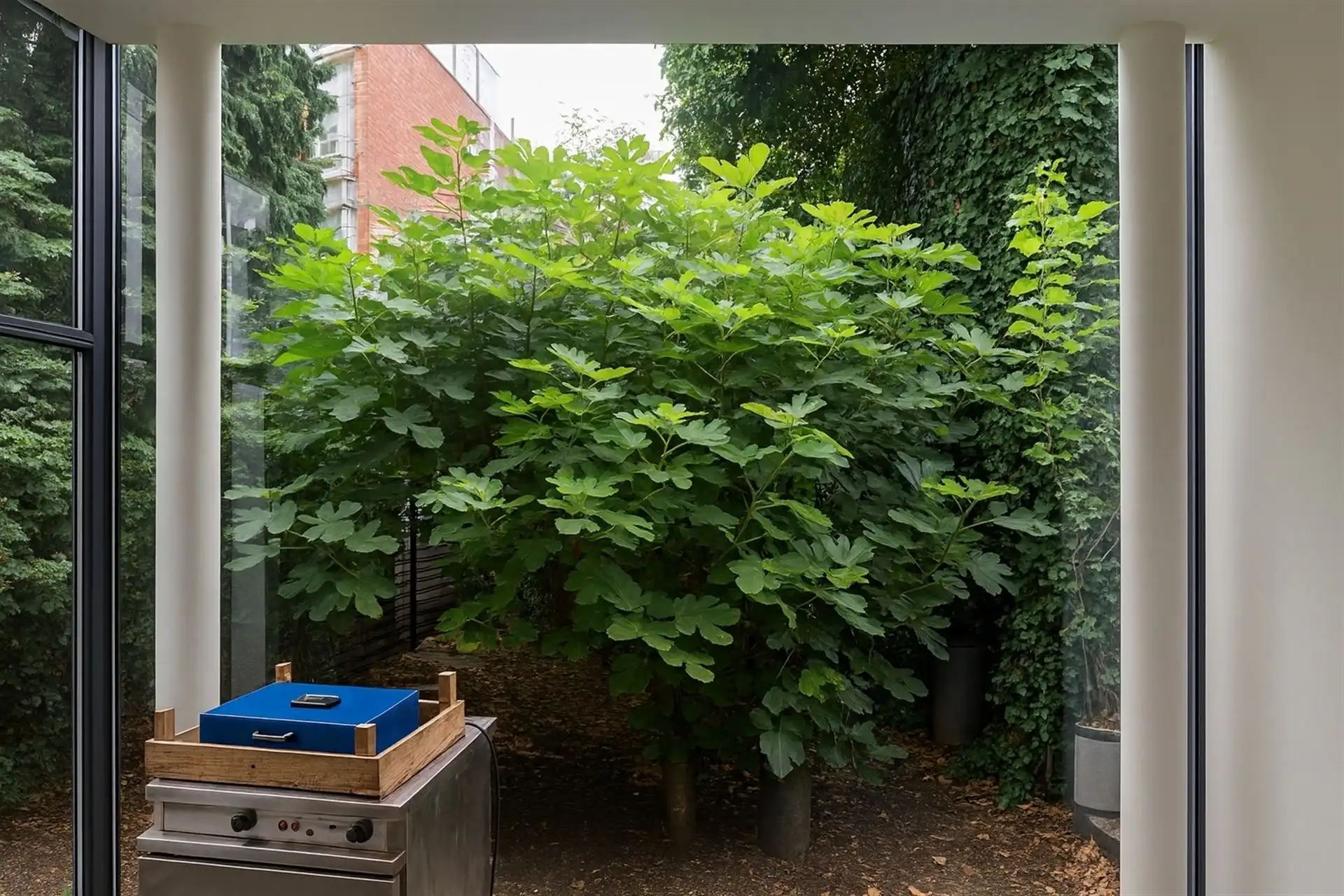 Instapklaar handelsglv met tuin nabij station. foto 4
