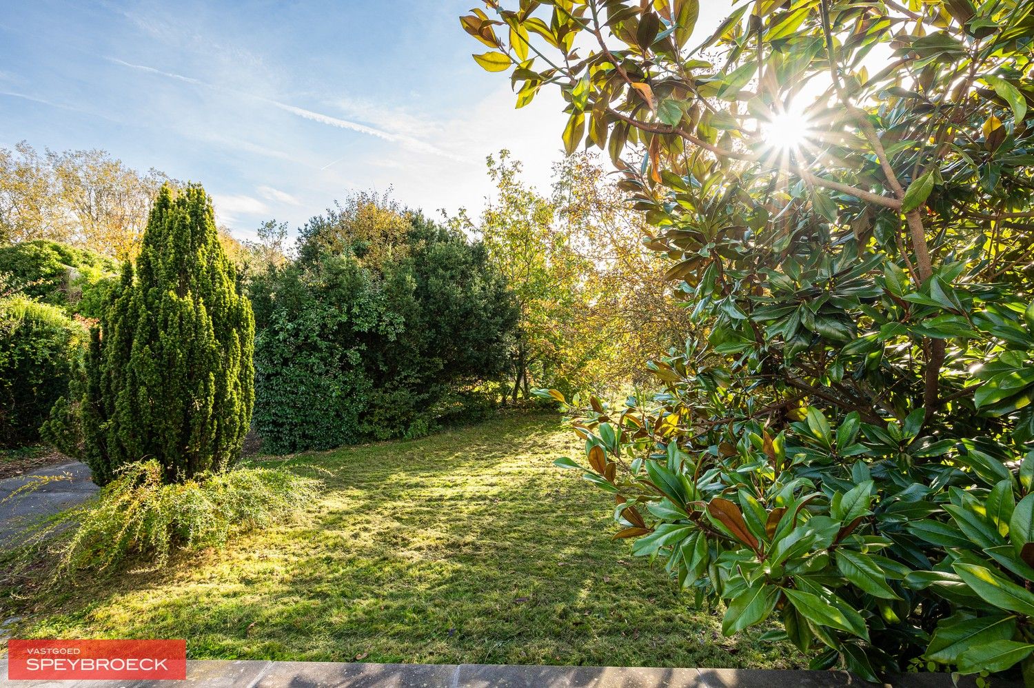 TE KOOP IN ASTENE foto 18