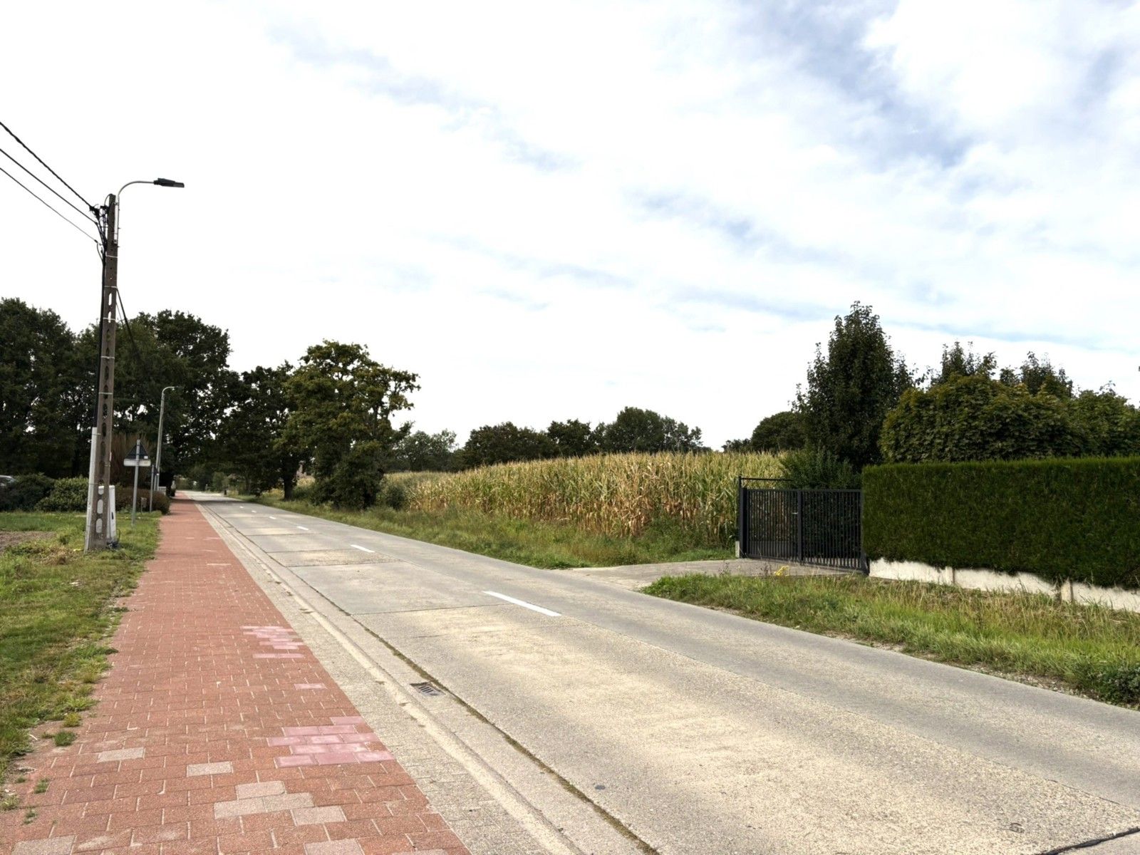 Bouwgrond open bebouwing 800m² met 12m bouwbreedte foto 3