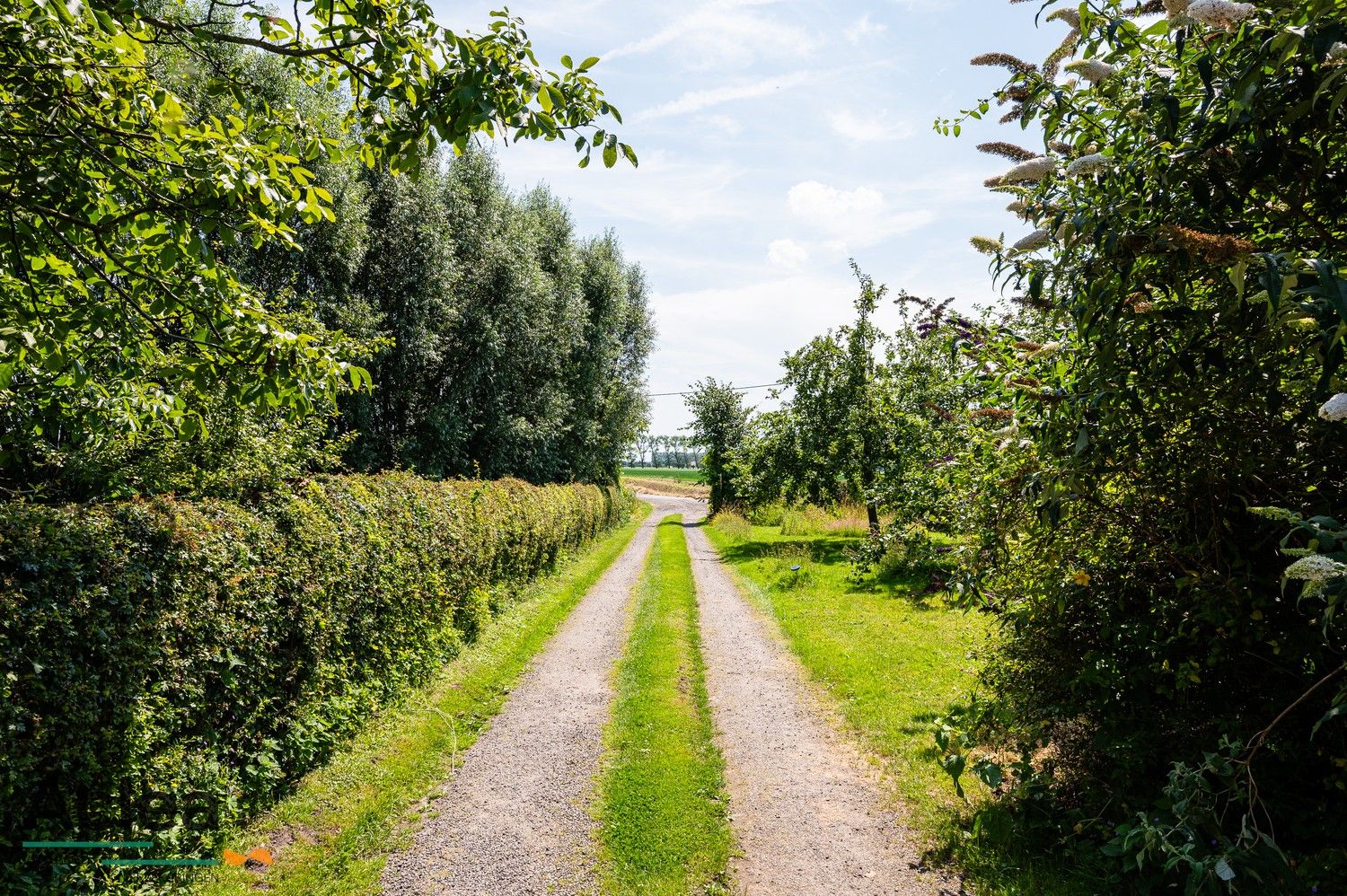 Unieke hoeve aan de Molenkreek in Sint-Margriete met vakantiewoningen en schuur foto 3