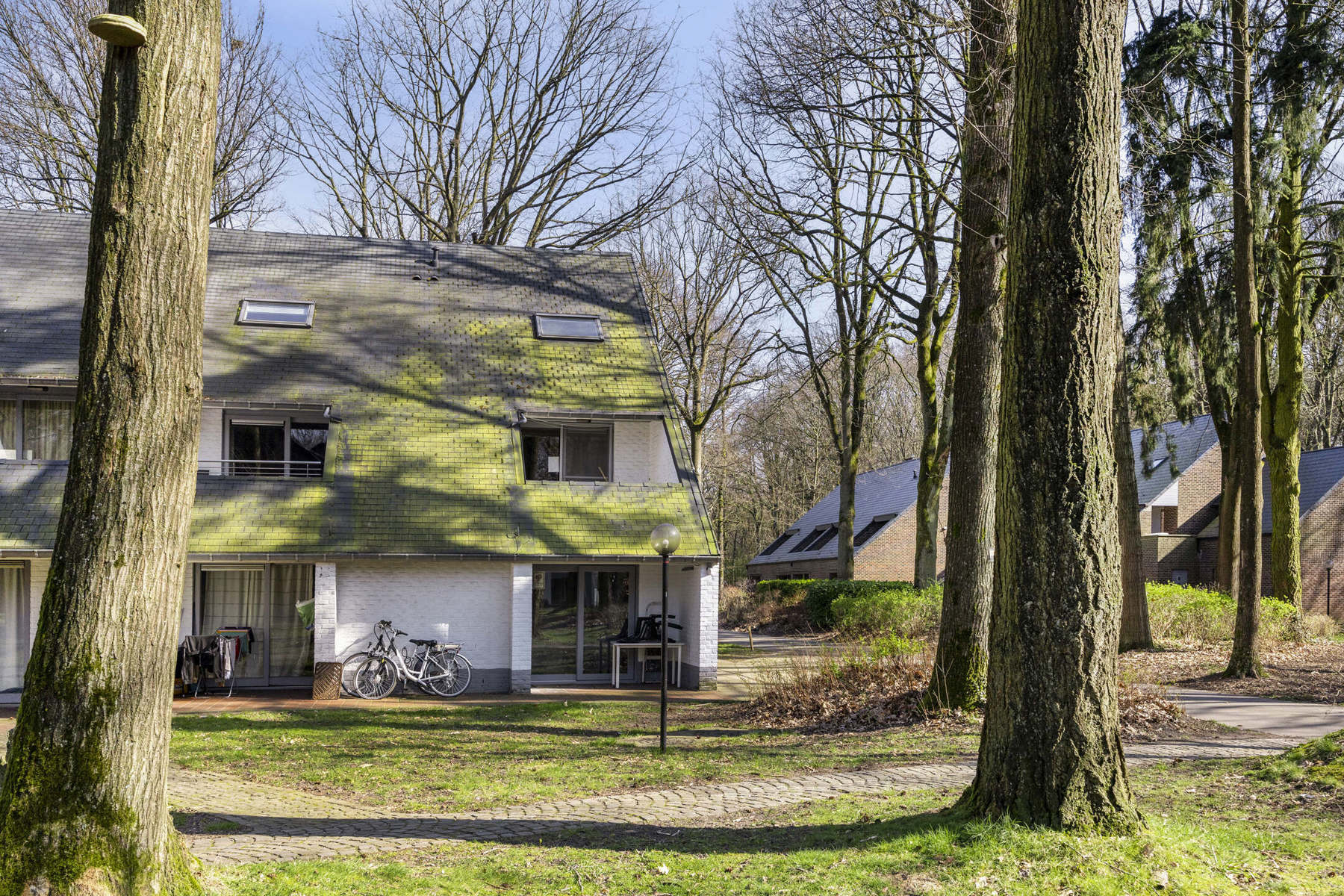 Duplex vakantiewoning op Domein Hengelhoef. (GEEN DOMICIEL ) foto 5