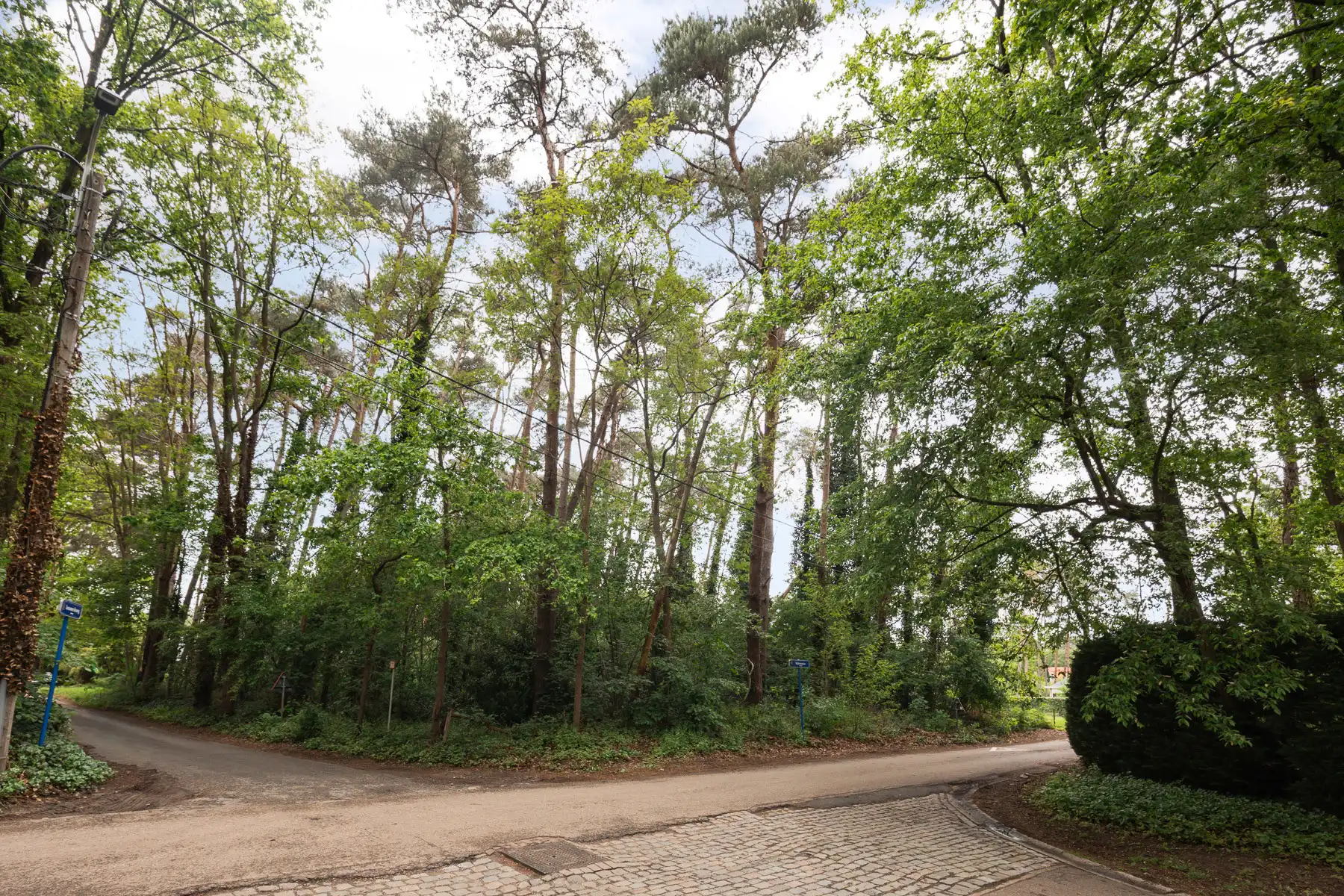 Exclusieve, ruime bouwgrond in het groen foto 7