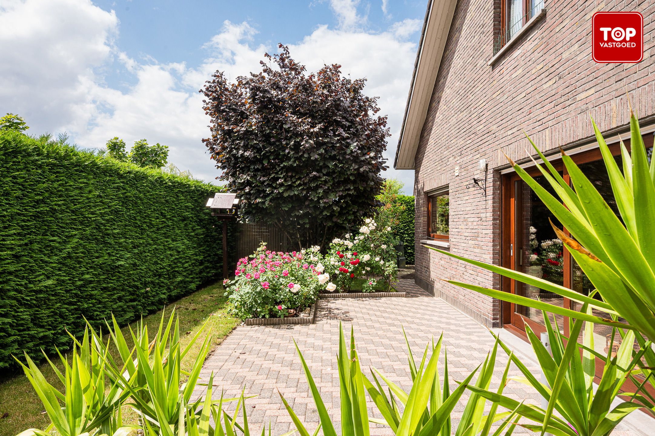 Villa met 3 slaapkamers en royale tuin foto 7