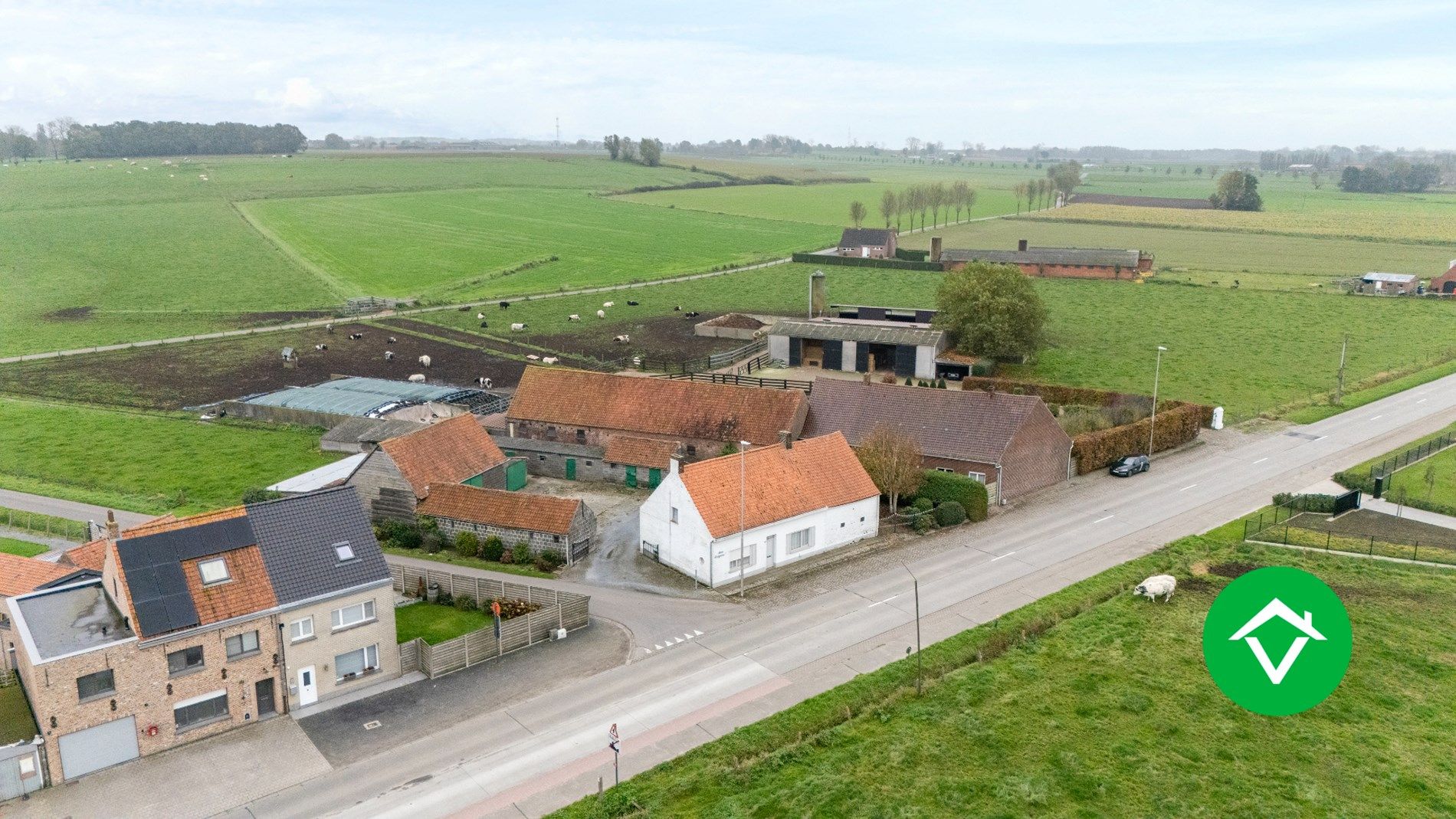 Alleenstaande hoeve met koterijen en vergezichten te Koekelare foto 3