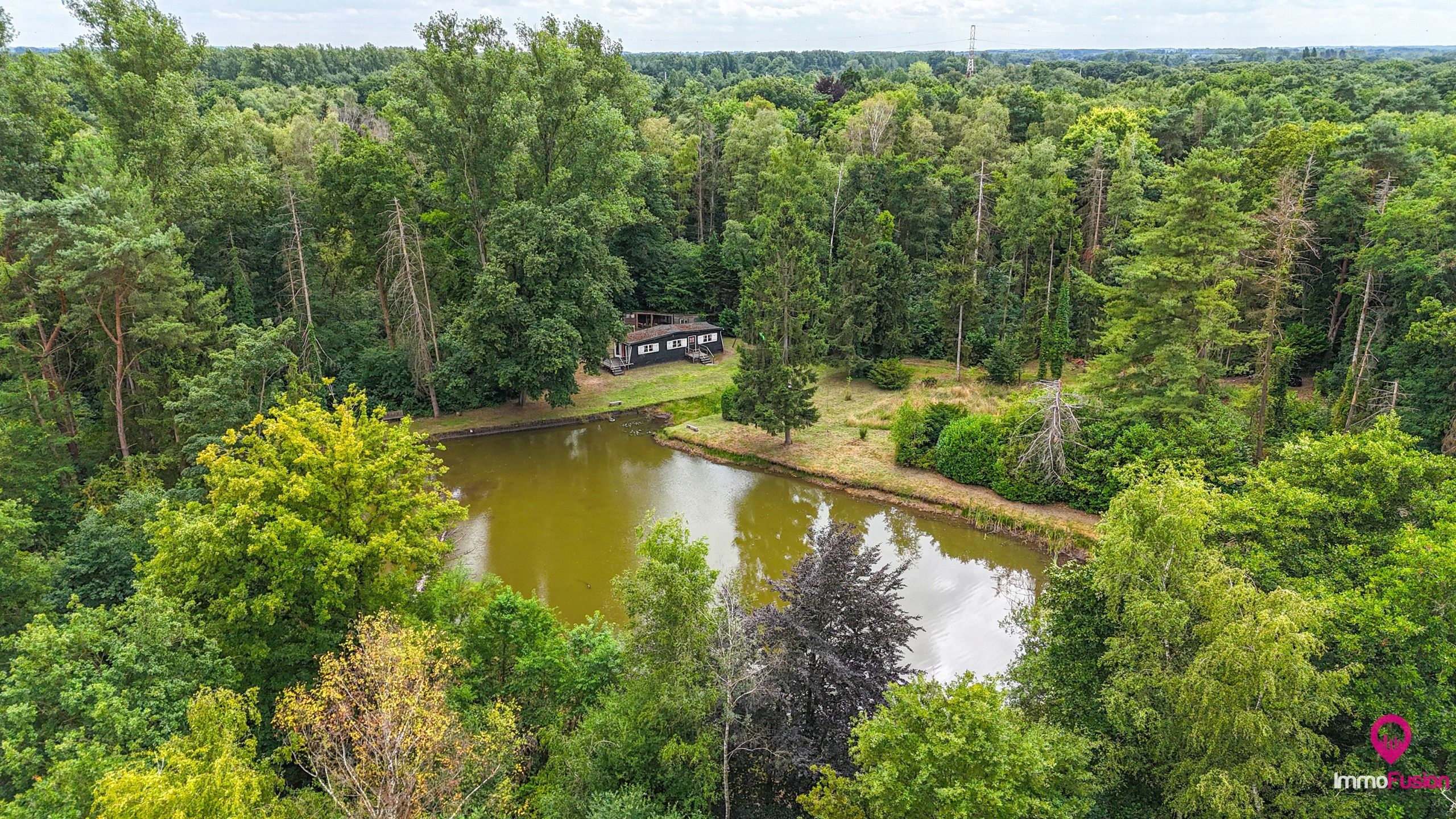 Droom buitenverblijf in Hasselt voor natuurliefhebbers!  foto 5