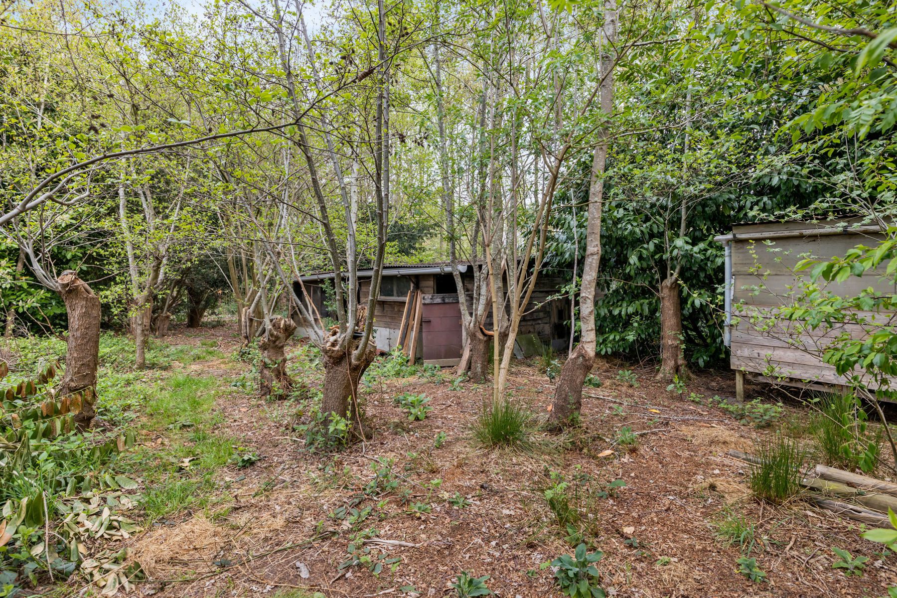 Uniek te renoveren pareltje met 4 slpk op 3528m² foto 7