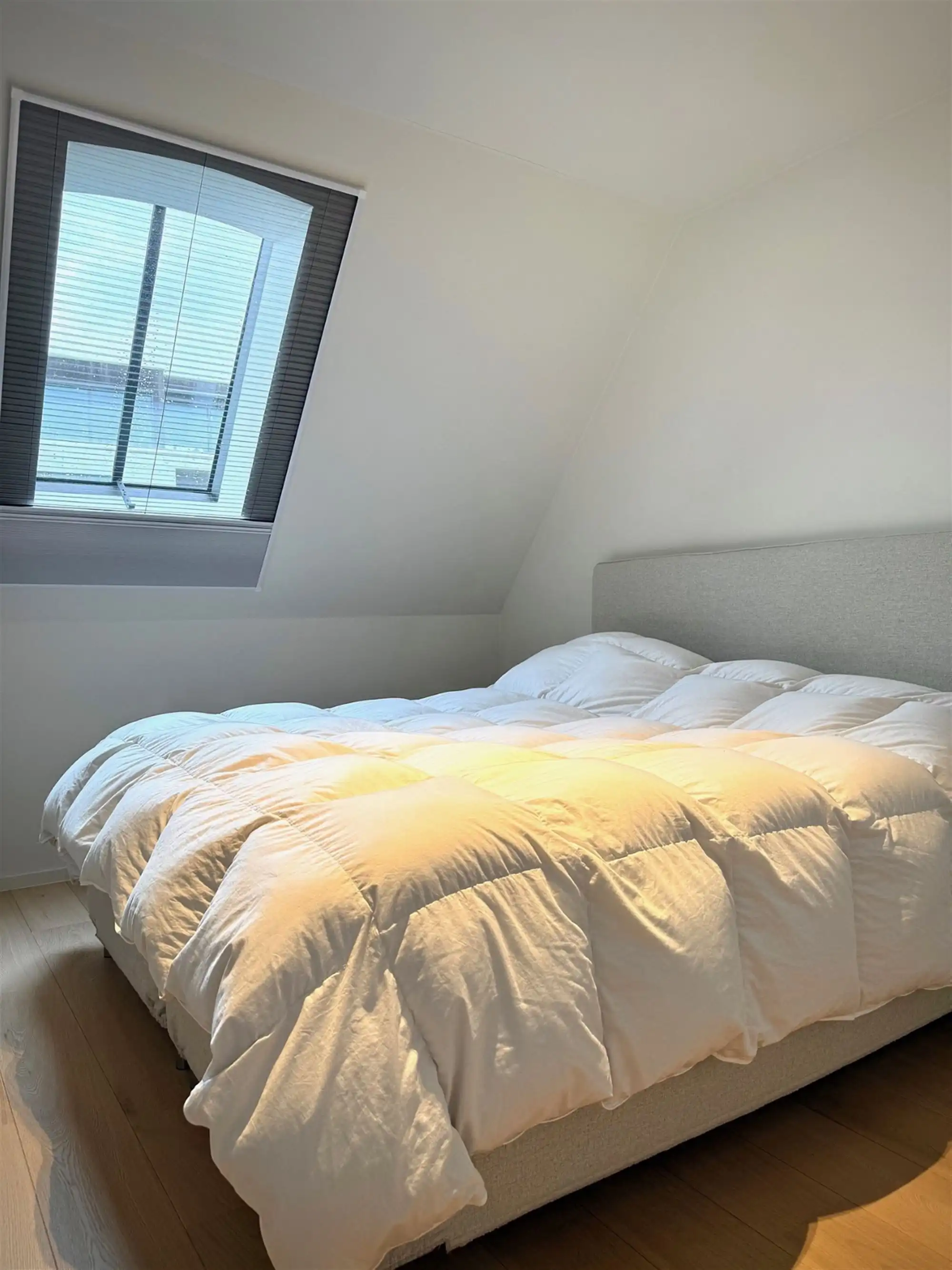 Instapklare DORPSWONING met 3 SLAAPKAMERS, TUIN/TERRAS, CARPORT & grote KELDER foto 12