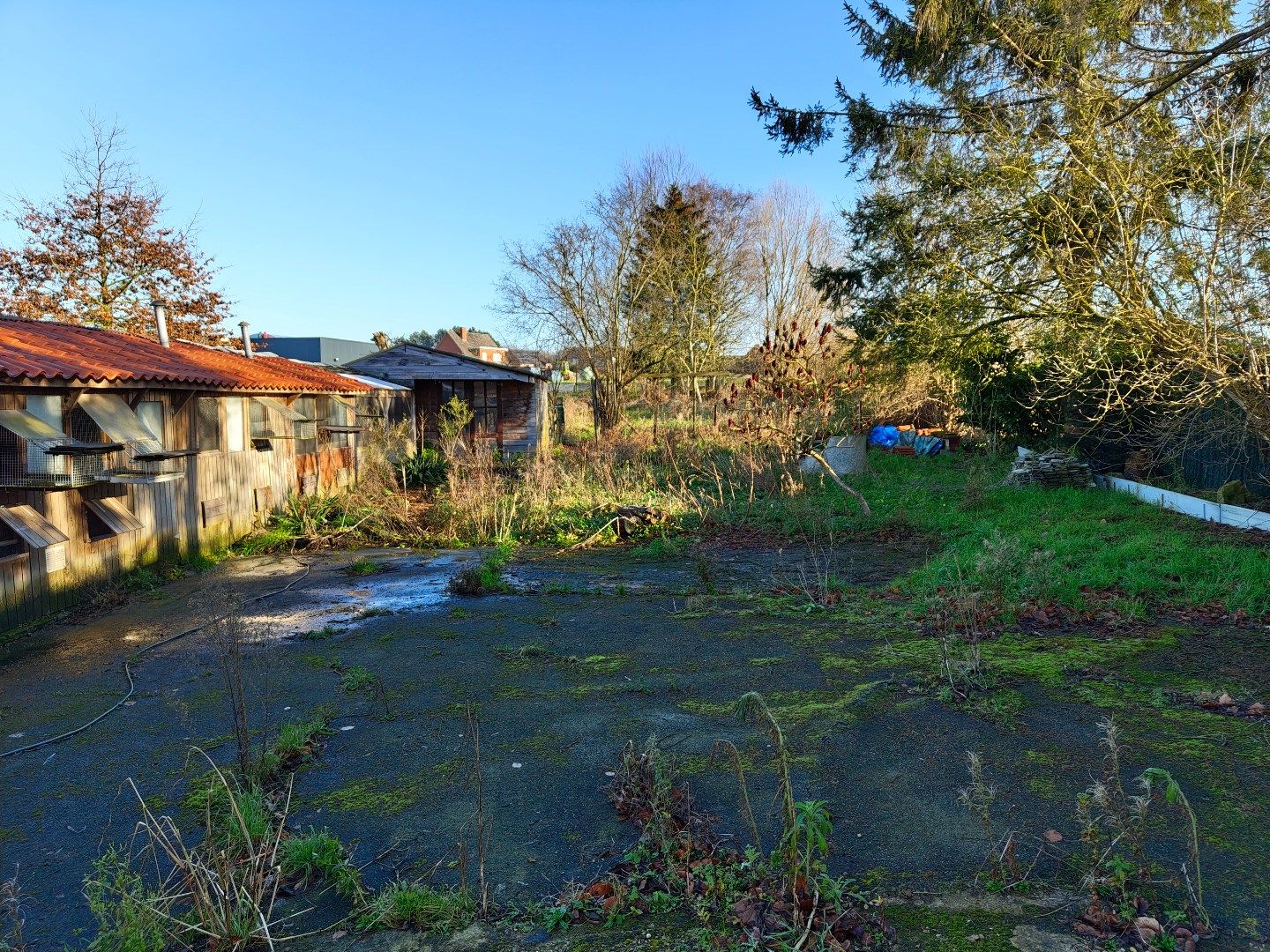 Ruime open bebouwing met 4 slaapkamers, tuin en veel ruimte in Waanrode foto 25
