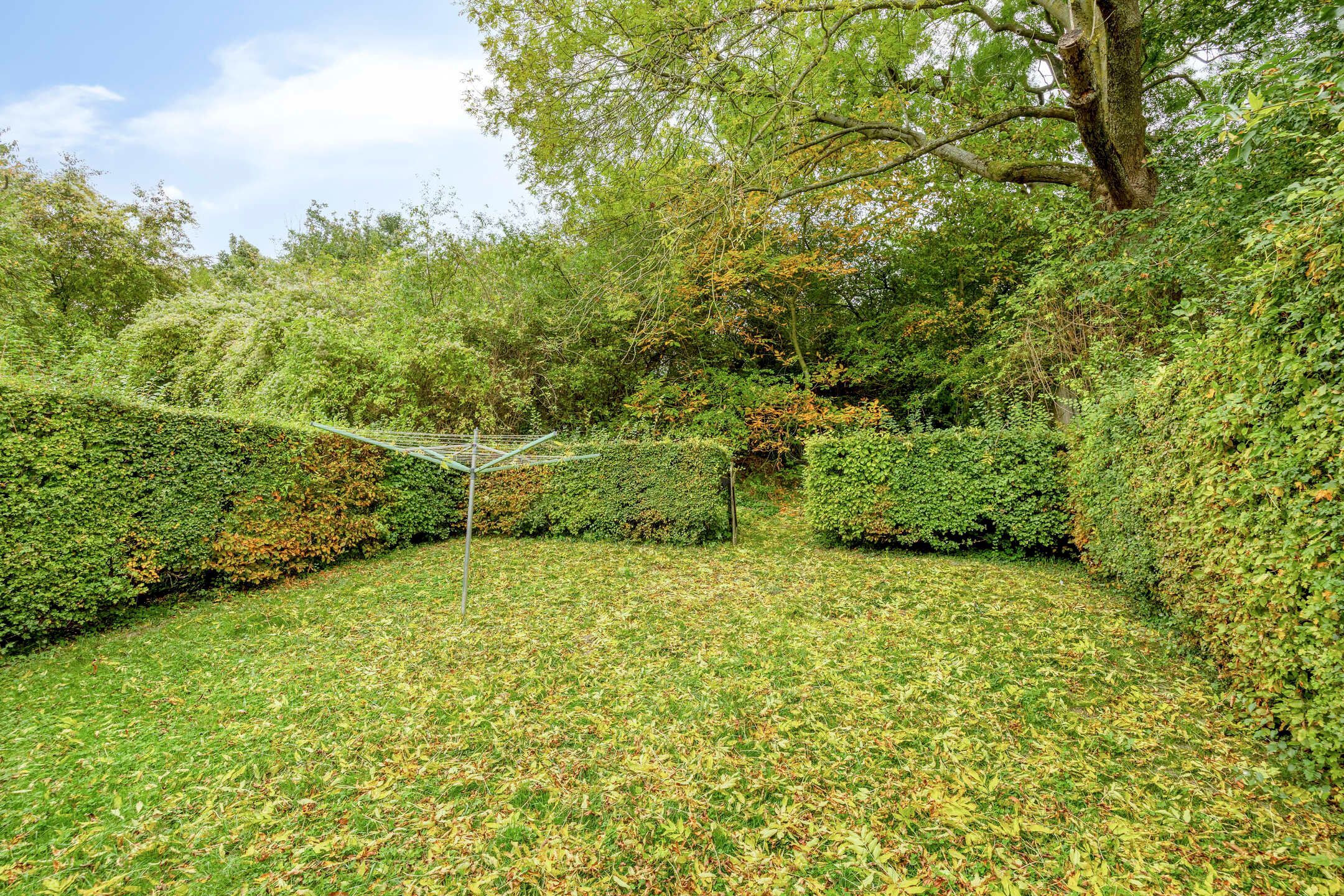 Wonen in het groene Hoegaarden: charmant, omringd door rust foto 25