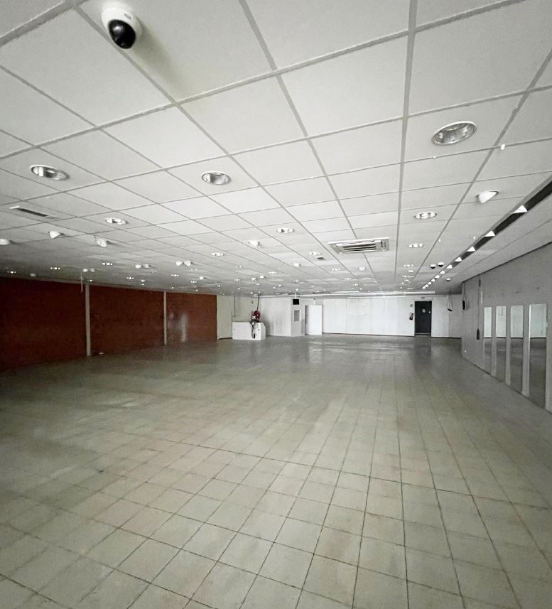 RUIM COMMERCIEEL GELIJKVLOERS PAUWENGRAAF foto 3