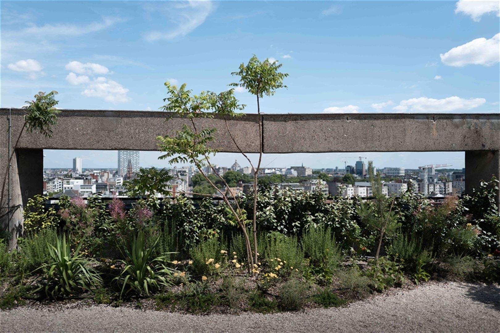 Co-rental in inspirerend skyline-kantoor OVAL Sky foto 17