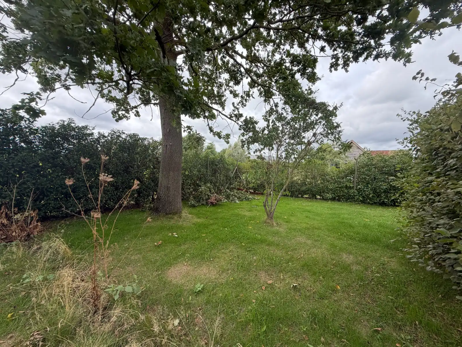 VEELZIJDIGE LANDELIJKE WONING OP 1.170 M² MET TAL VAN MOGELIJKHEDEN! foto 30