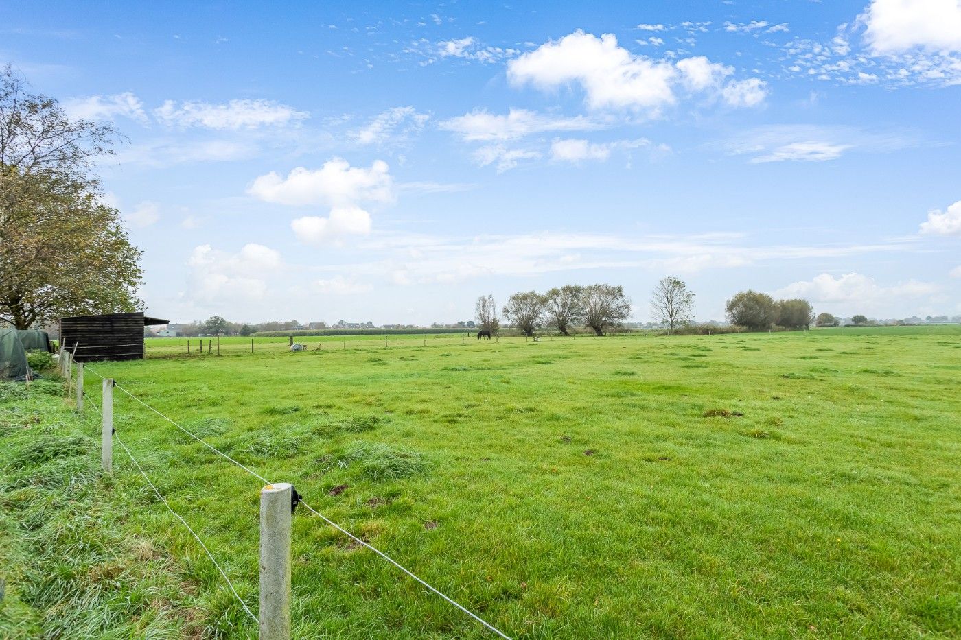 Mooi stuk weiland met 4 paardenstallen en rijpiste van ruim 1,5 hectare te koop in Hoevenen foto {{pictureIndex}}