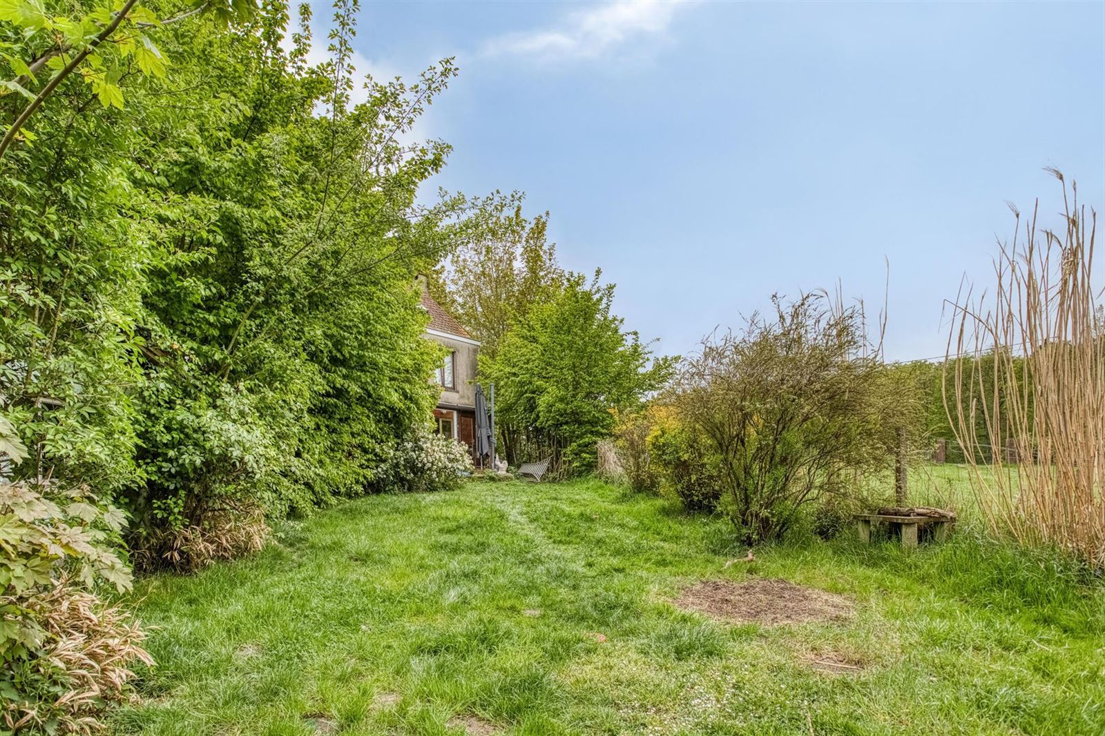 Woning met grote tuin te Dworp foto 18