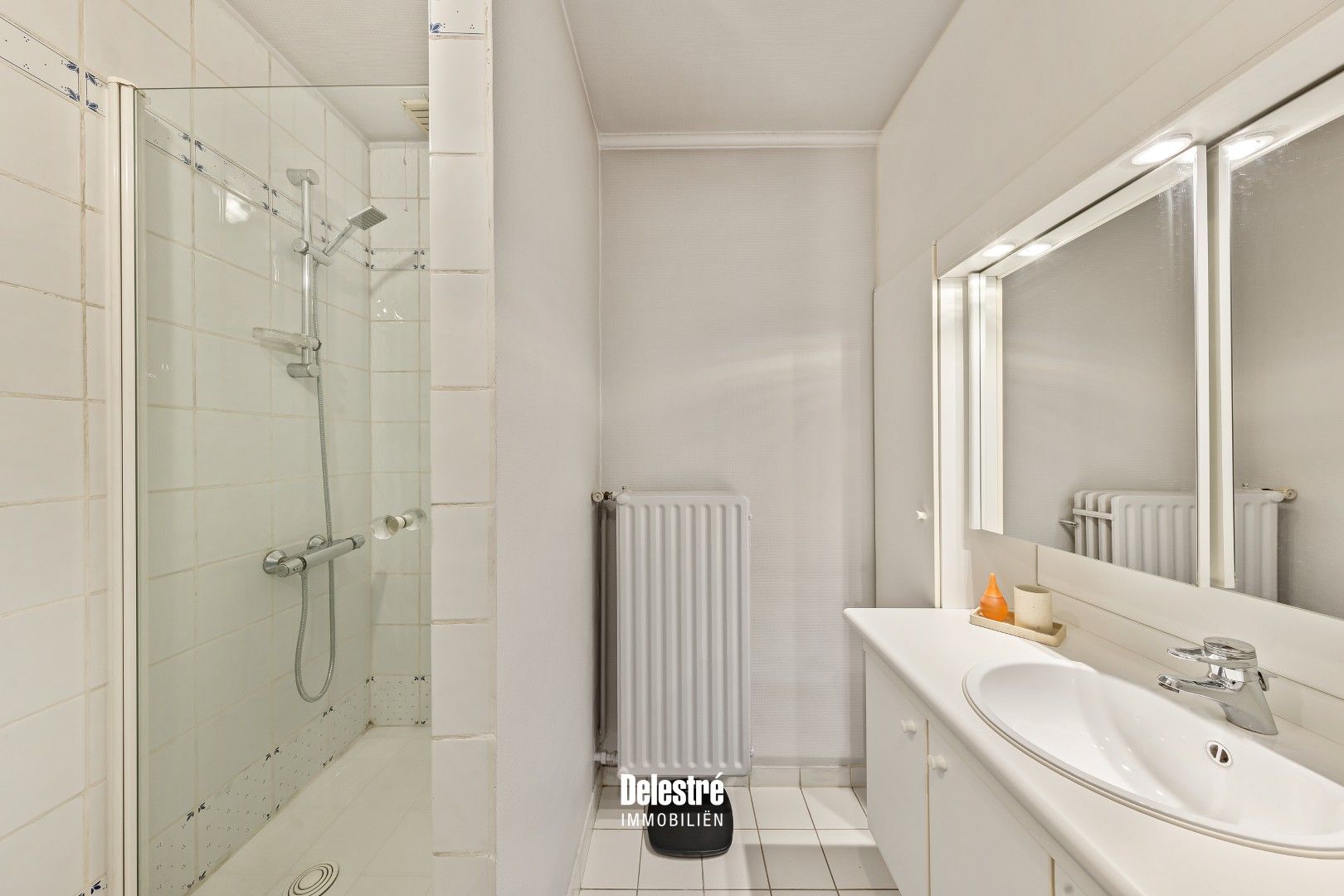 STANDINGVOLLE WONING MET GROTE ZO TUIN EREMBODEGEM foto 25