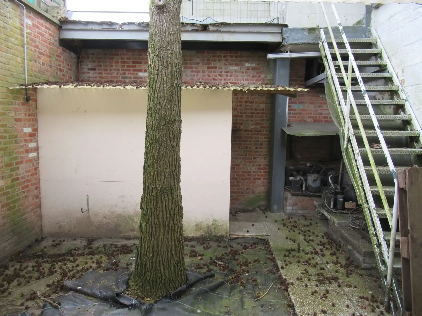 Ruime gerenoveerde woning met 3 slaapkamers in centrum van Sint-Truiden. foto 33