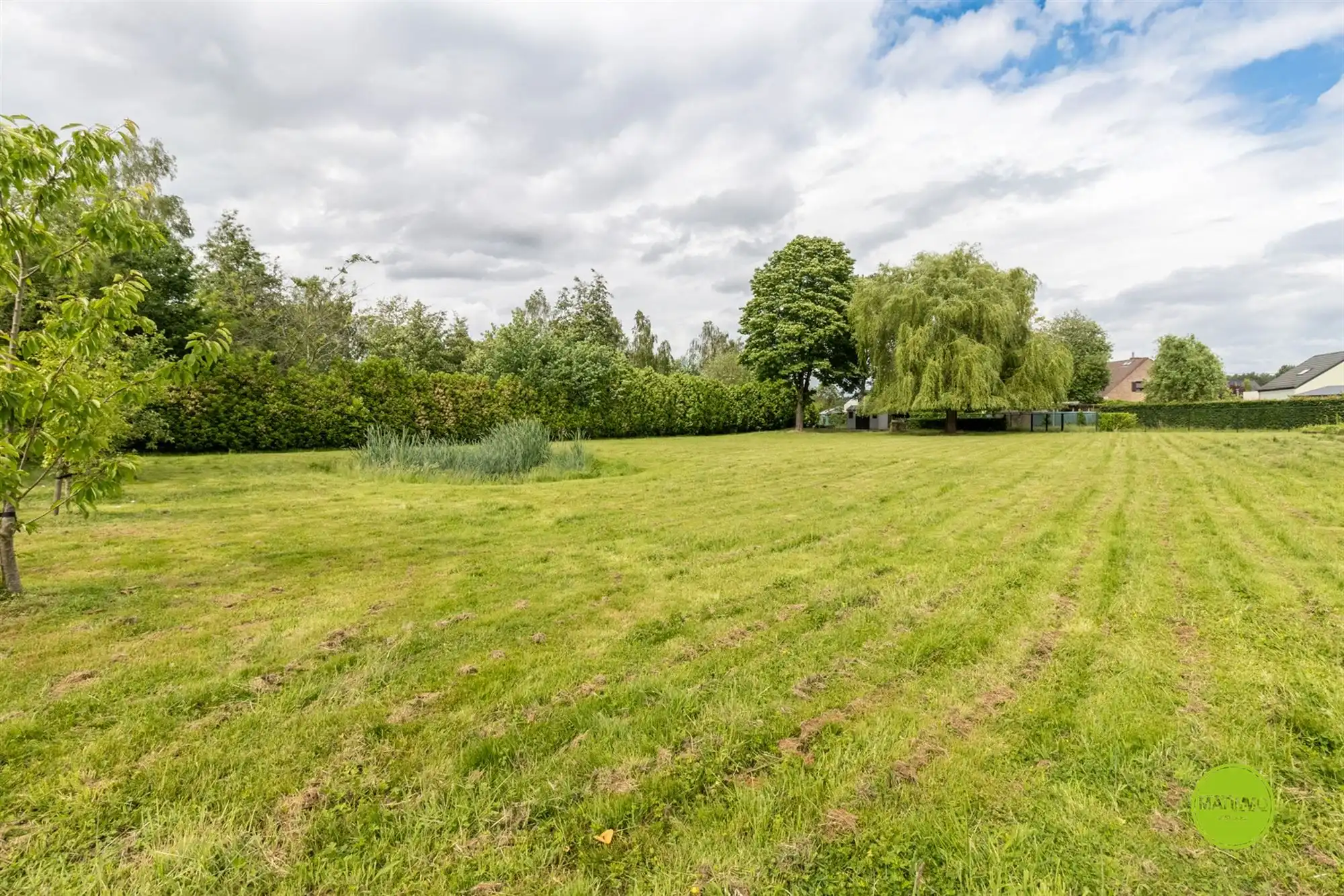 Ruime open bebouwing op een prachtig perceel van 3.764 m² foto 31