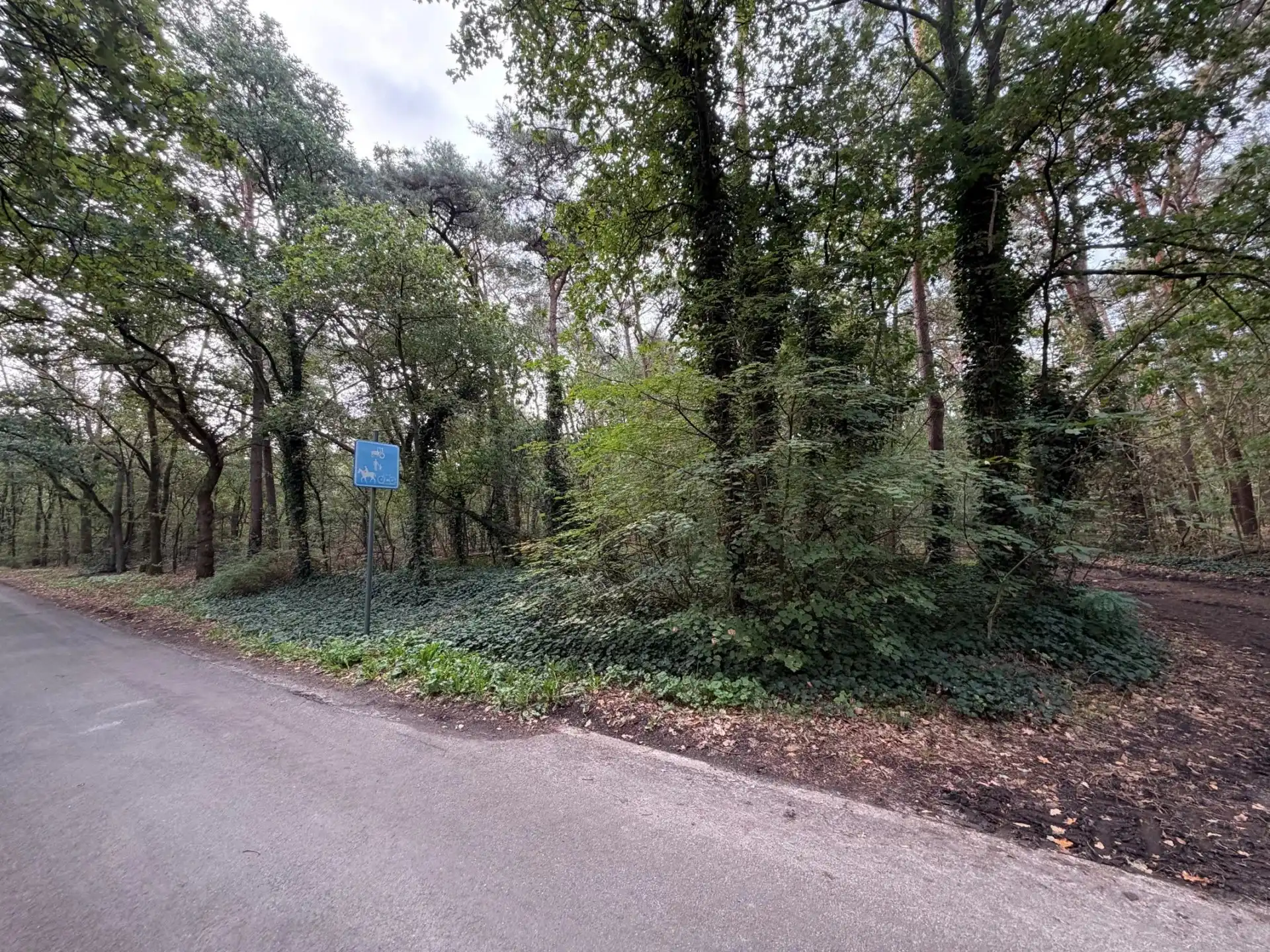 Een perceel bosgrond van 16.170 m². foto 4